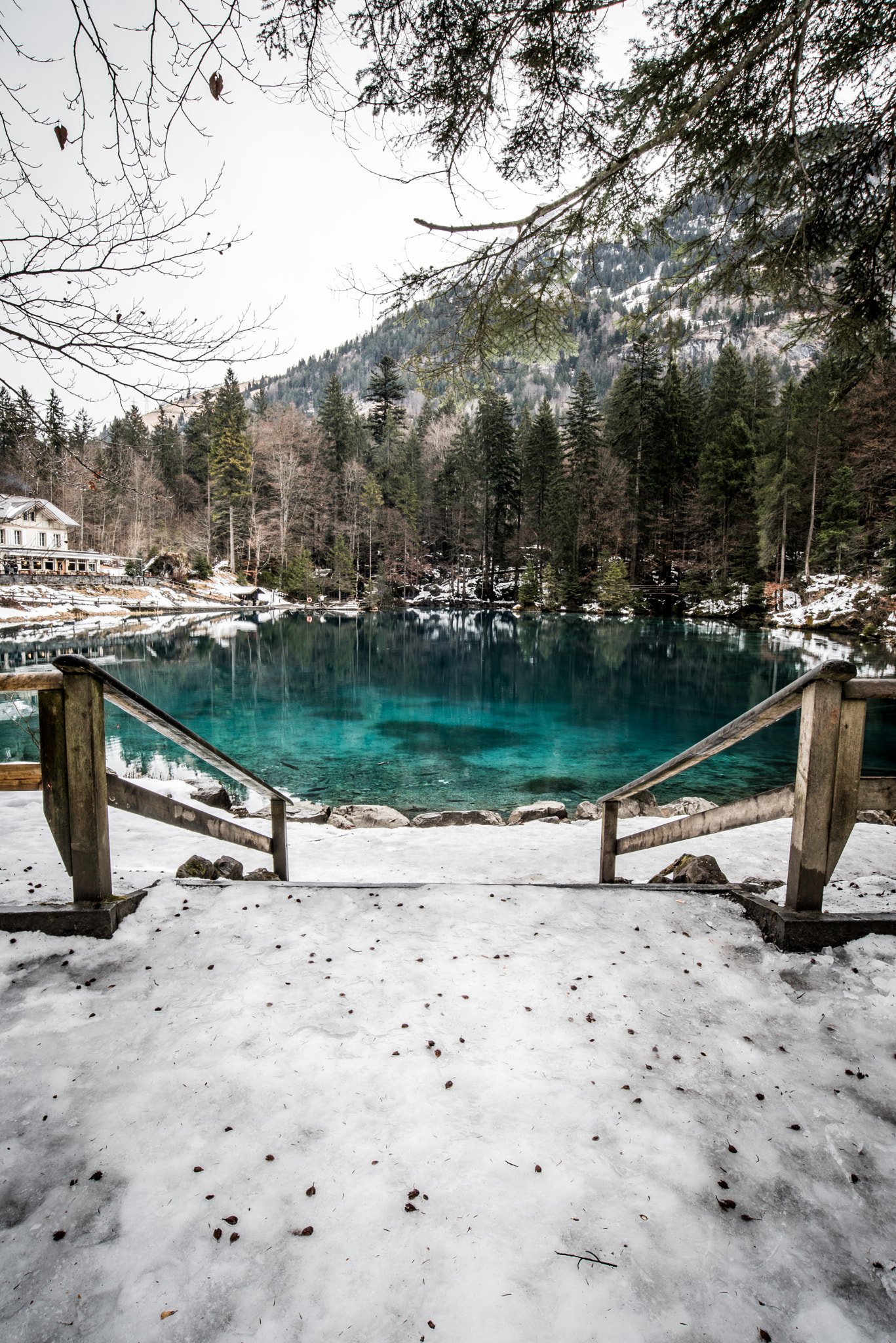 Nikon AF-S Nikkor 18-35mm F3.5-4.5G ED sample photo. Blausee switzerland a beautiful place photography