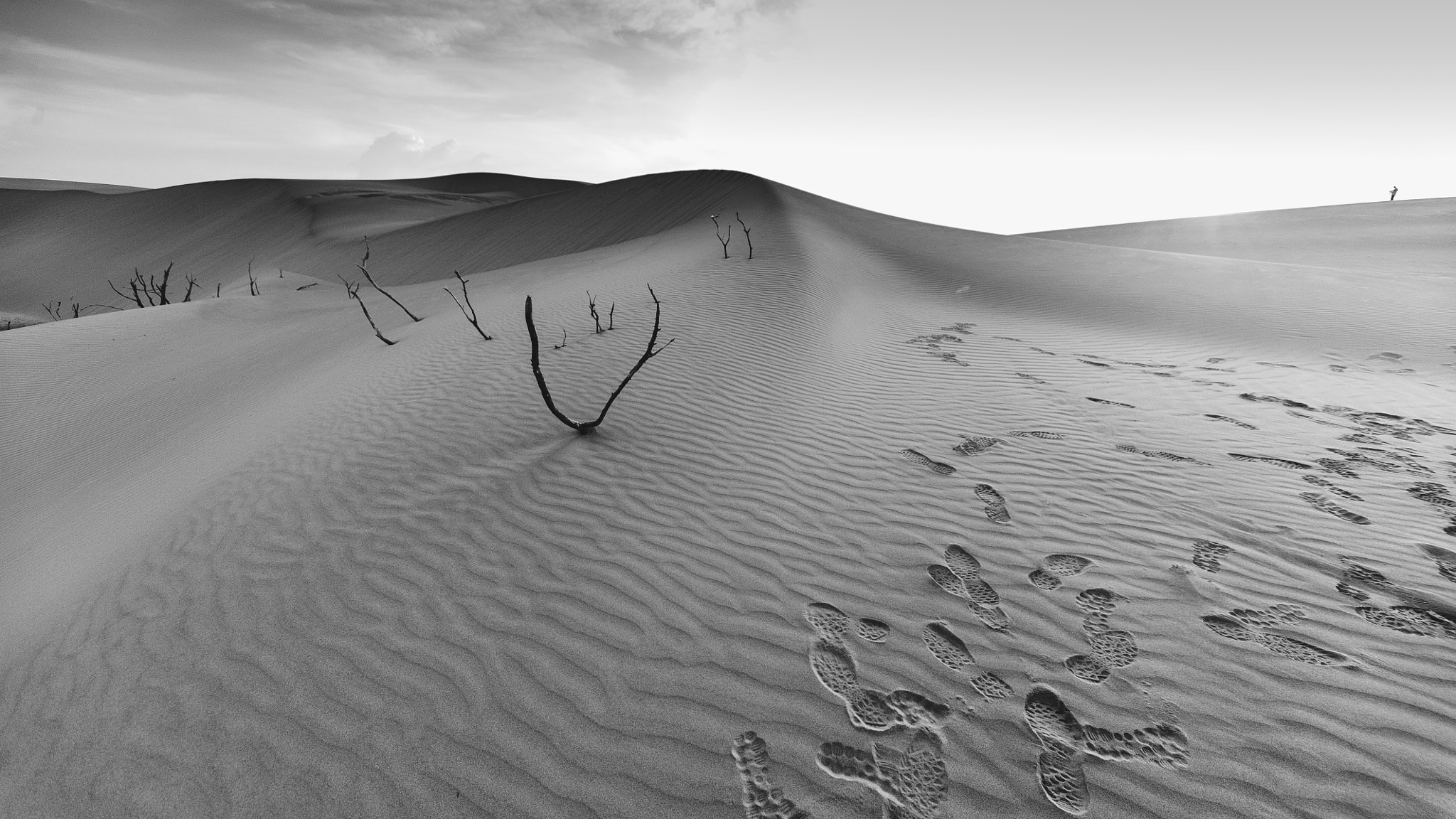 Sigma 12-24mm F4.5-5.6 EX DG Aspherical HSM sample photo. Medanos - falcon ven photography