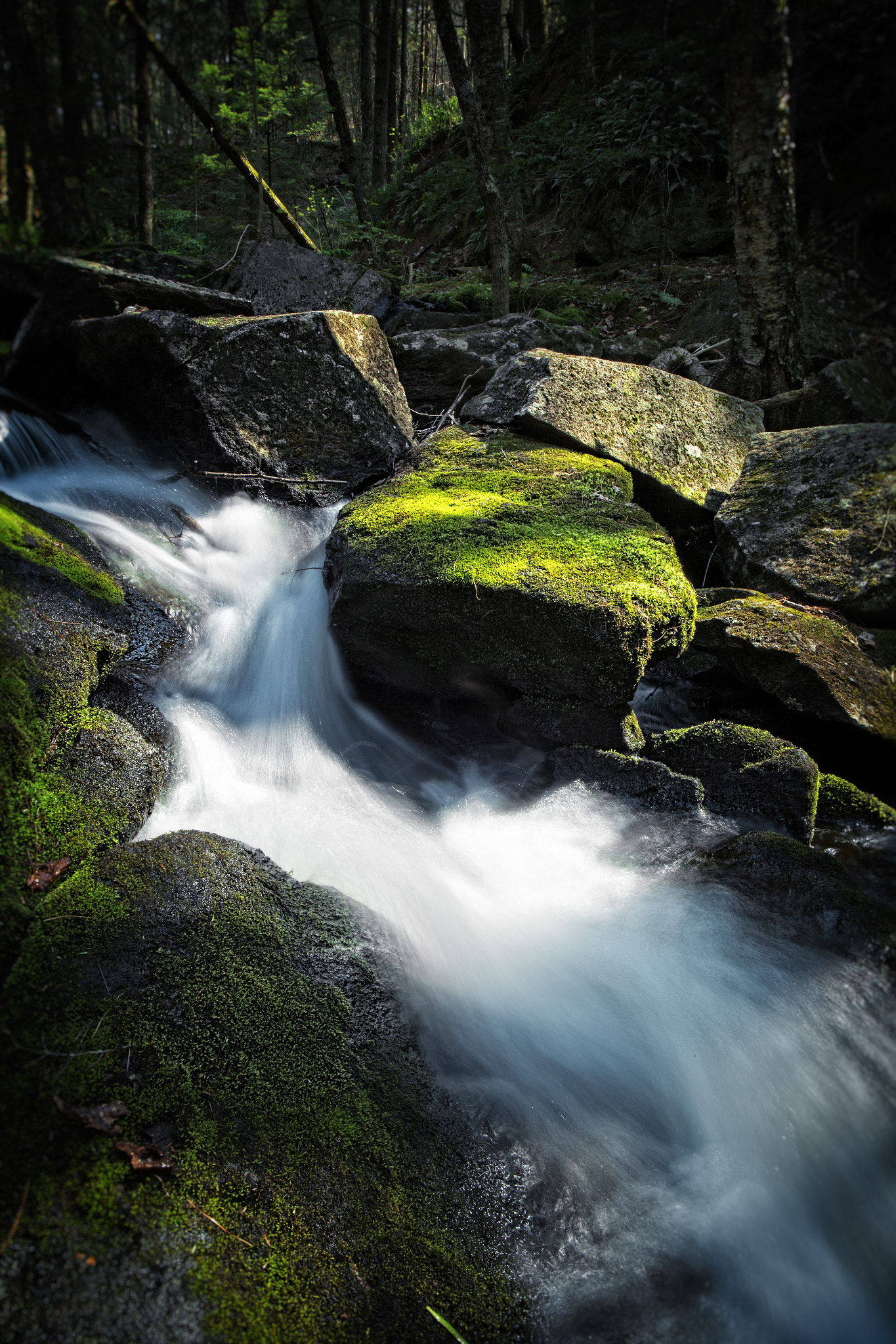 Canon EOS-1D X sample photo. Shaft of light photography