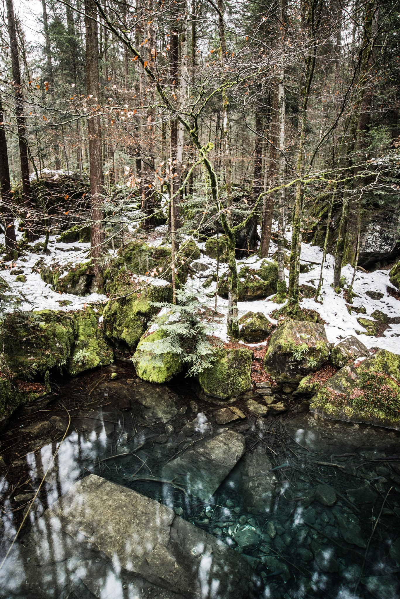 Nikon D750 + Nikon AF-S Nikkor 18-35mm F3.5-4.5G ED sample photo. Blausee switzerland a beautiful place photography