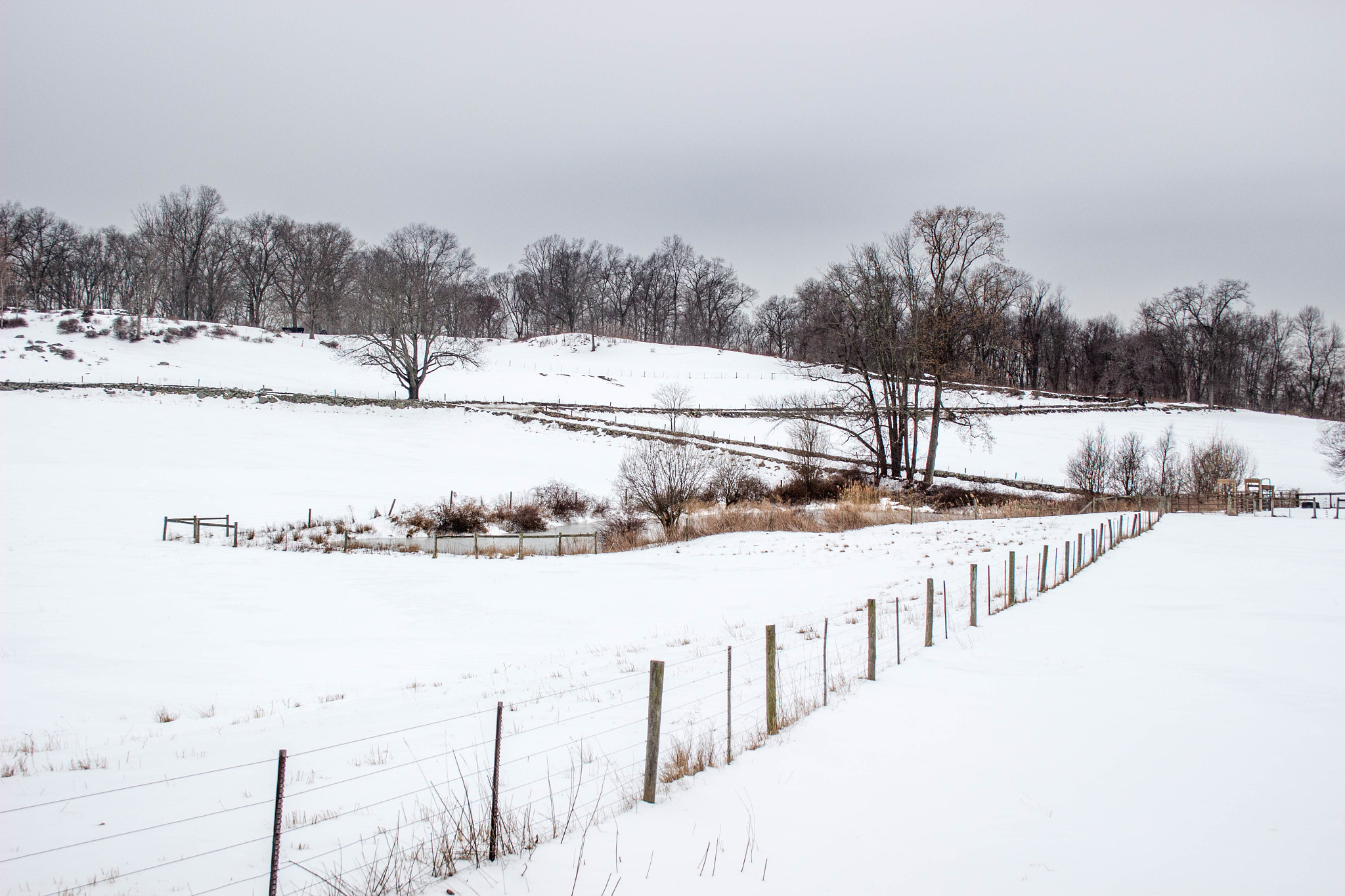 Canon EF-S 18-55mm F3.5-5.6 II sample photo. The snowy fields photography