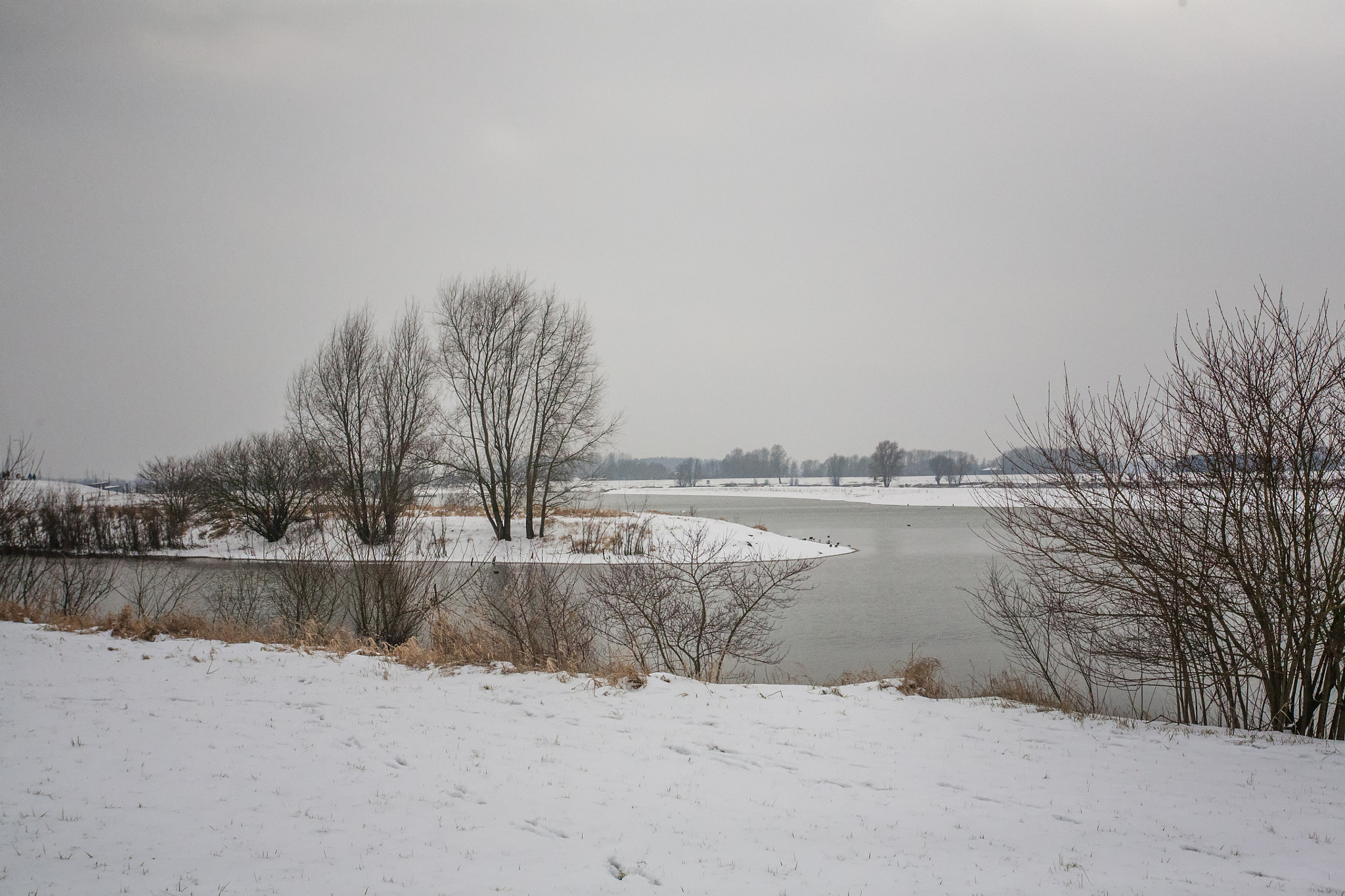 Canon EOS 5D sample photo. Deventer photography