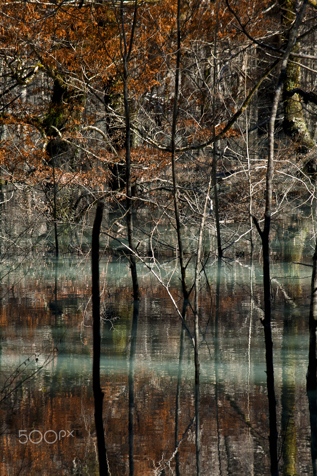 Canon EF-S 55-250mm F4-5.6 IS sample photo. A natural painting photography