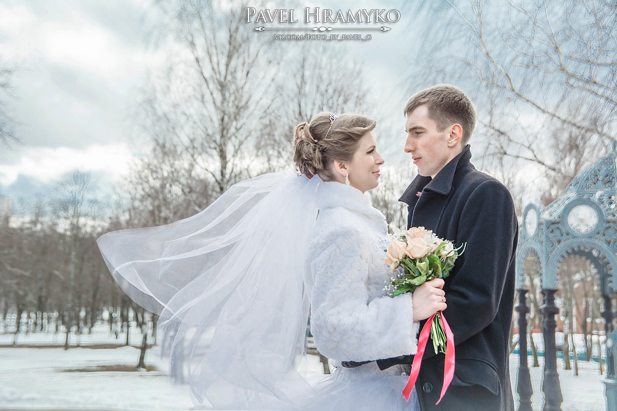 Sigma 17-50mm F2.8 EX DC OS HSM sample photo. копия photography