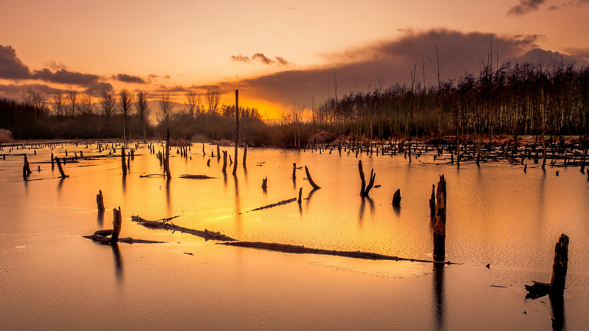 Olympus Zuiko Digital 14-54mm F2.8-3.5 II sample photo. Sunset at frozen lake photography