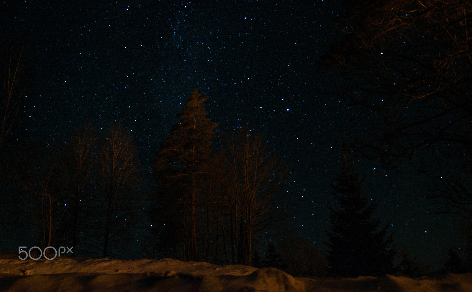 Sigma 17-50mm F2.8 EX DC OS HSM sample photo. Зимние звезды photography