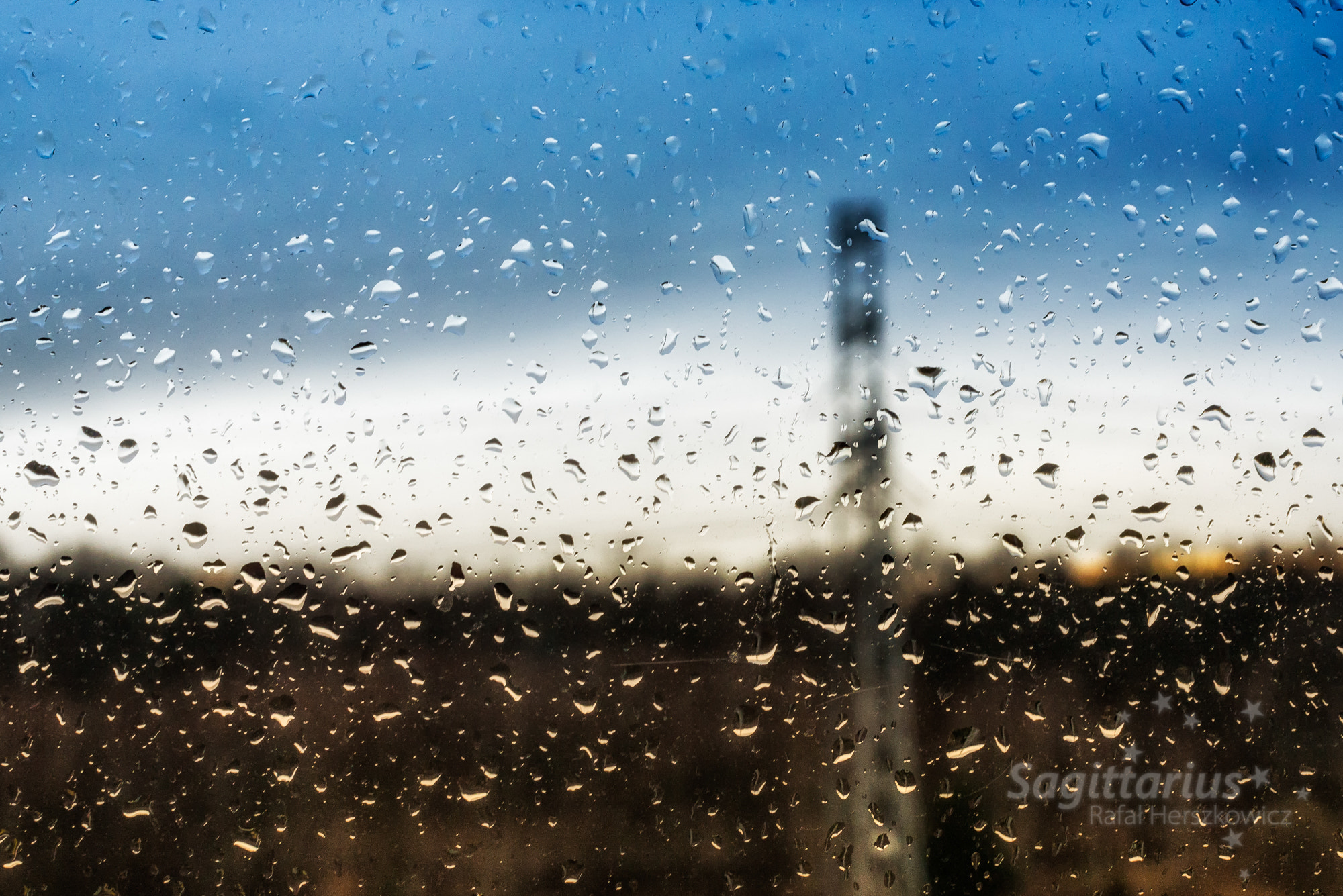 Nikon D610 sample photo. Rainy day (77/365) photography