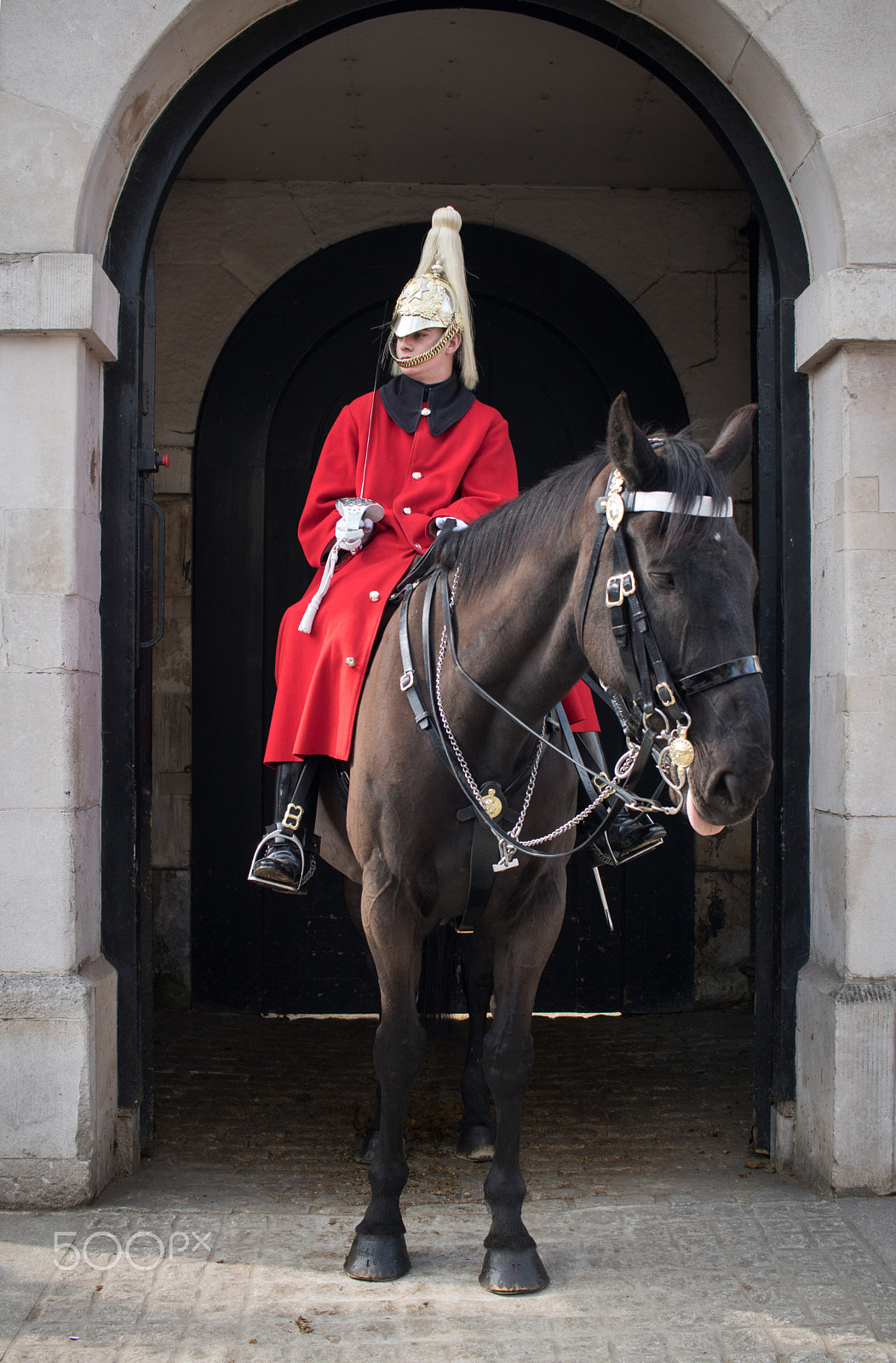 Canon EF-S 24mm F2.8 STM sample photo. Horseguard photography