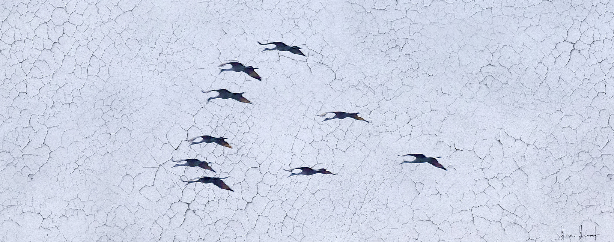 Sigma 150-600mm F5-6.3 DG OS HSM | C sample photo. Dry sky photography