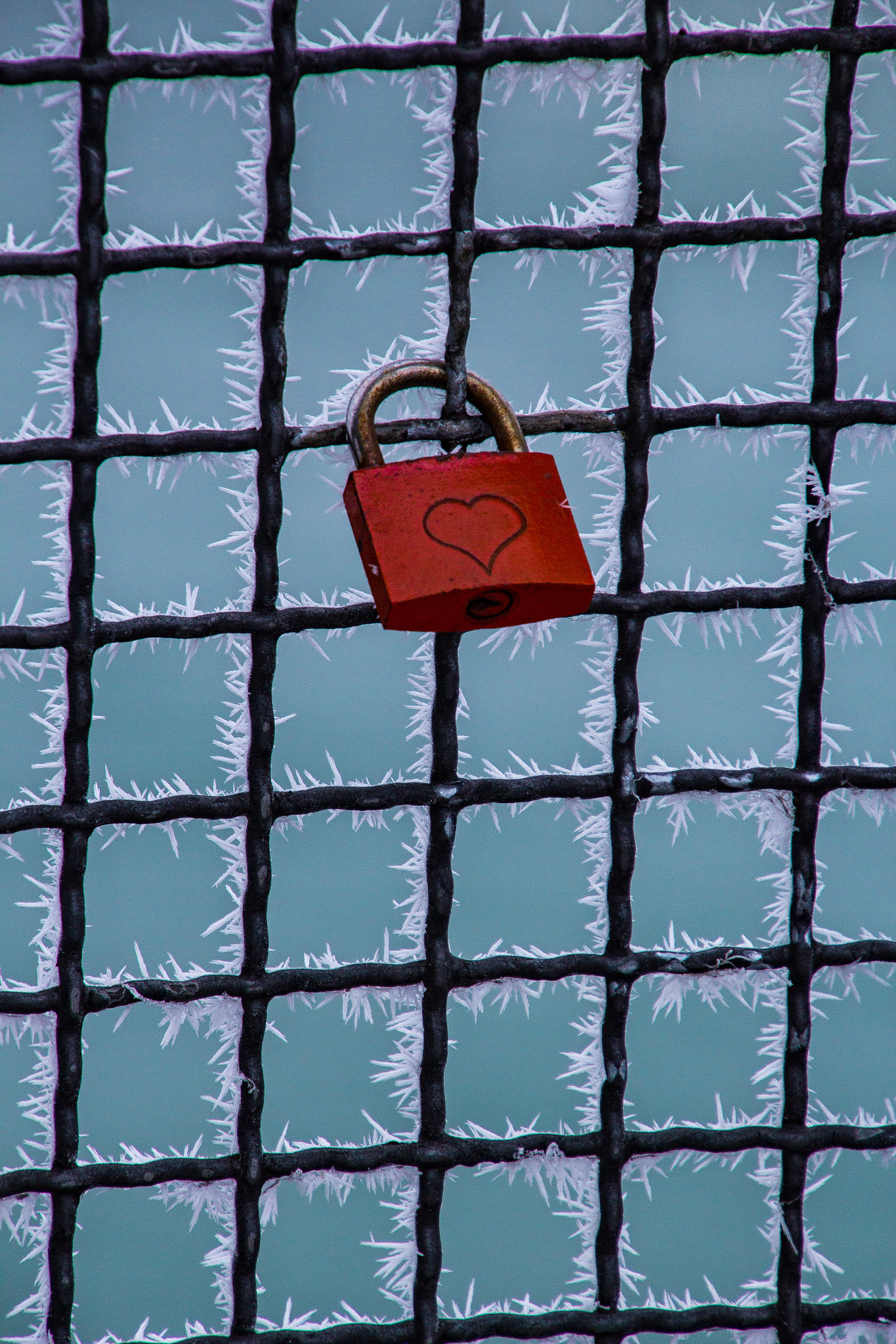 Canon EOS 60D sample photo. Frozen love photography