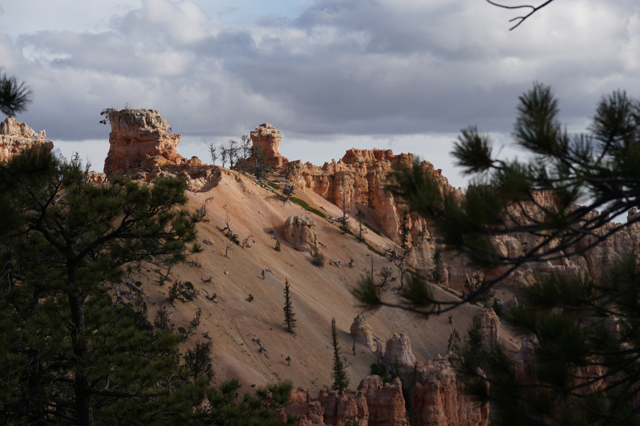 Sony ILCA-77M2 sample photo. Bryce photography