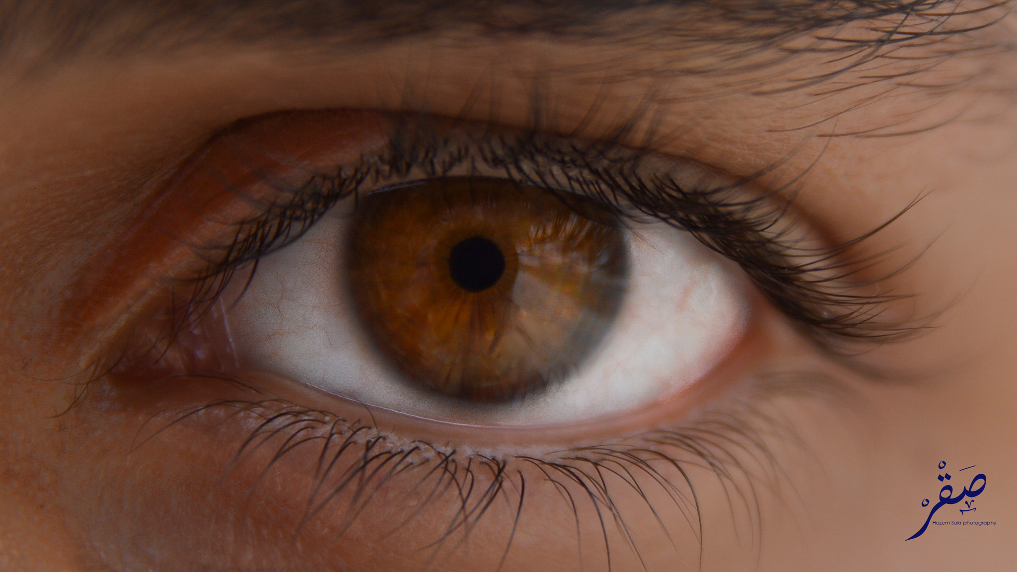Sigma 17-50mm F2.8 EX DC OS HSM sample photo. The biological camera photography