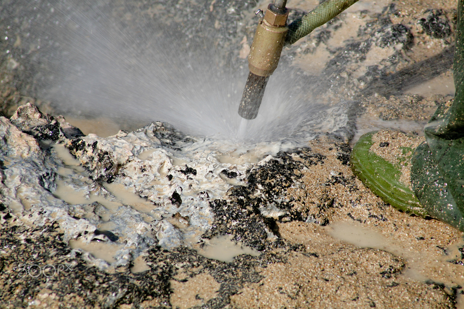 Canon EF 75-300mm f/4-5.6 USM sample photo. Rabbit island cleanup photography