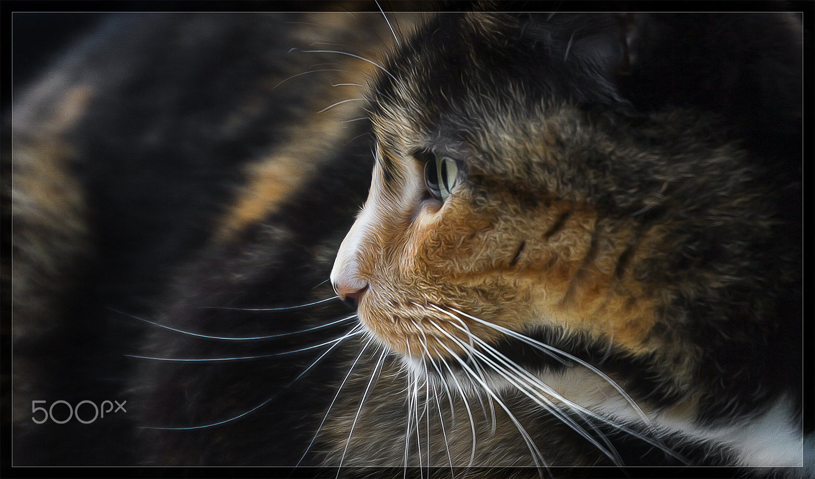 Canon EOS 60D sample photo. Caterina photography