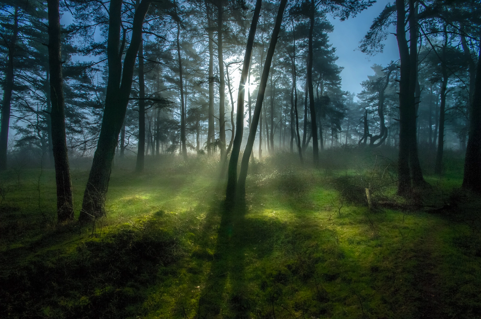 Sigma AF 10-20mm F4-5.6 EX DC sample photo. Morning calm photography