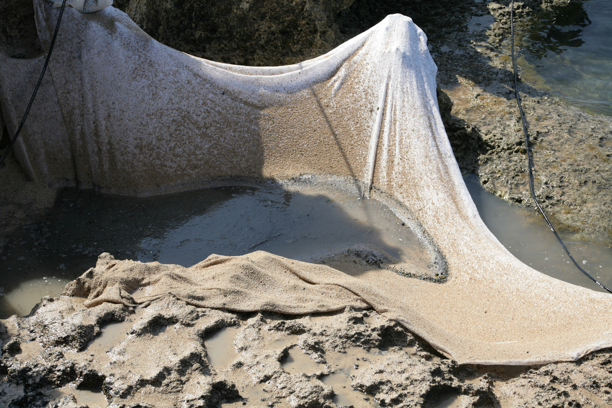Canon EF 75-300mm f/4-5.6 USM sample photo. Rabbit island cleanup photography