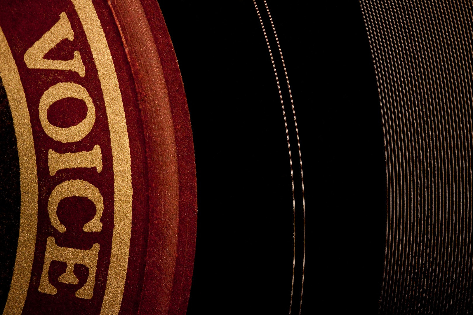 Canon EF-S 60mm F2.8 Macro USM sample photo. Absence of voice photography