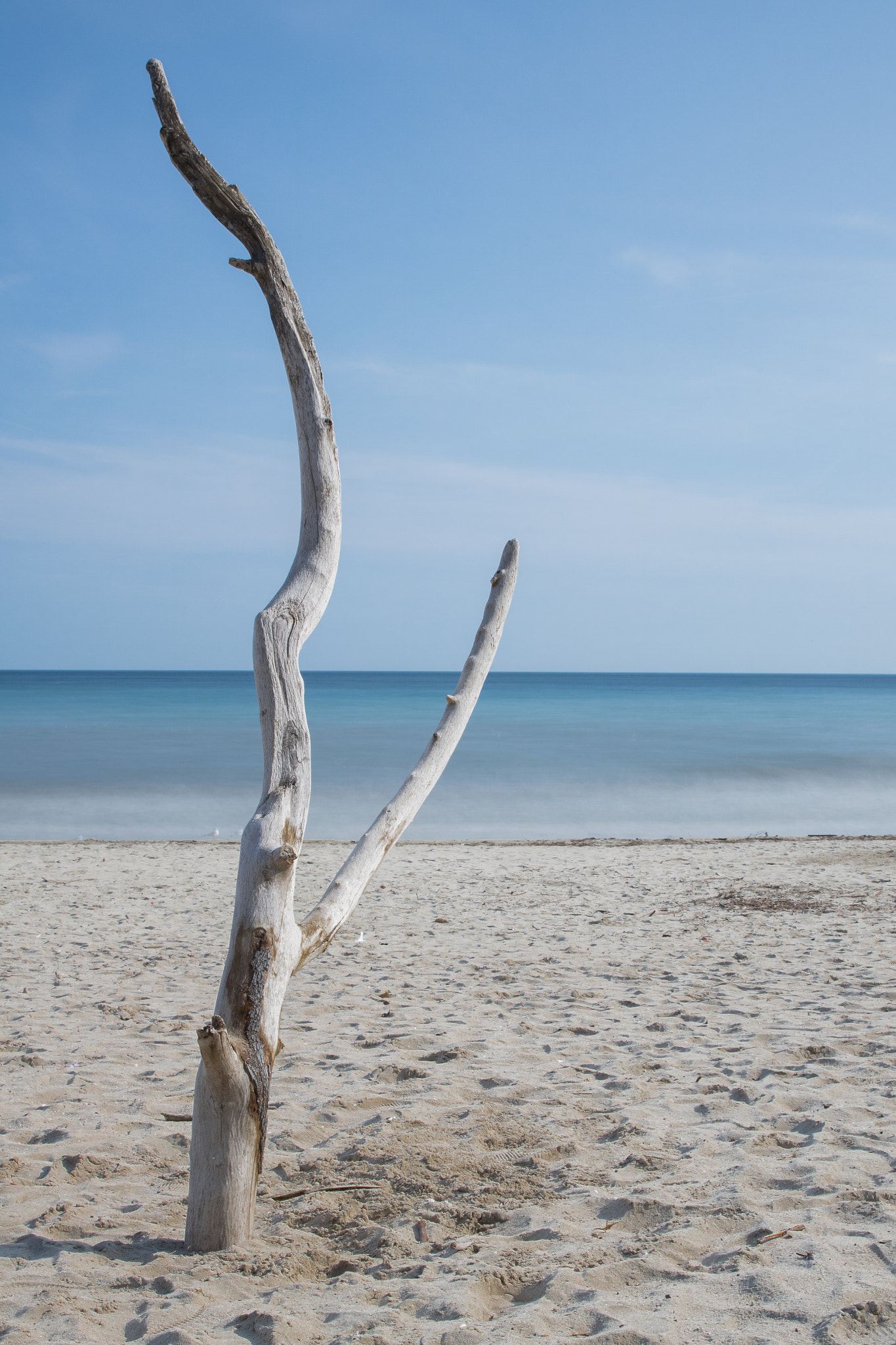 Canon EOS 750D (EOS Rebel T6i / EOS Kiss X8i) sample photo. Landscapes photography