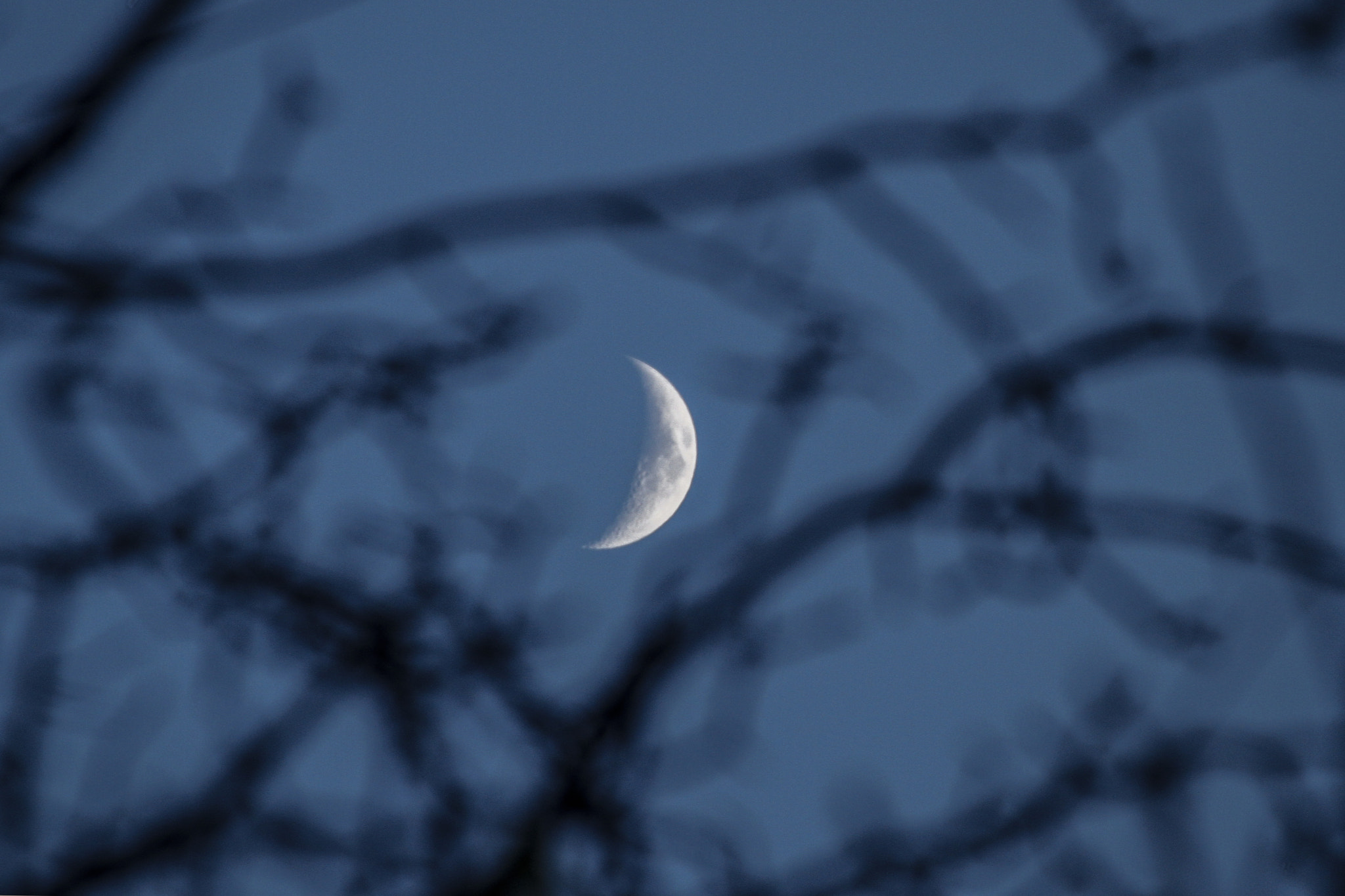 Canon EF 70-300mm F4-5.6L IS USM sample photo. Fikret ahmeti photography / new moon photography