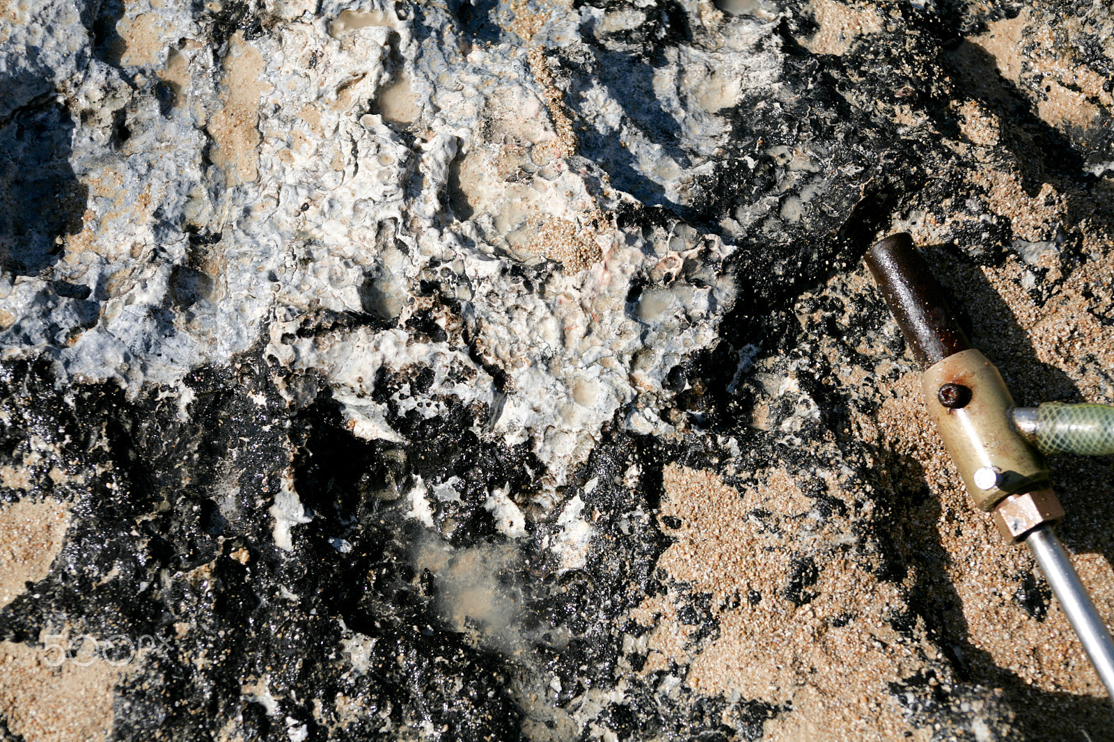 Canon EF 75-300mm f/4-5.6 USM sample photo. Rabbit island cleanup photography
