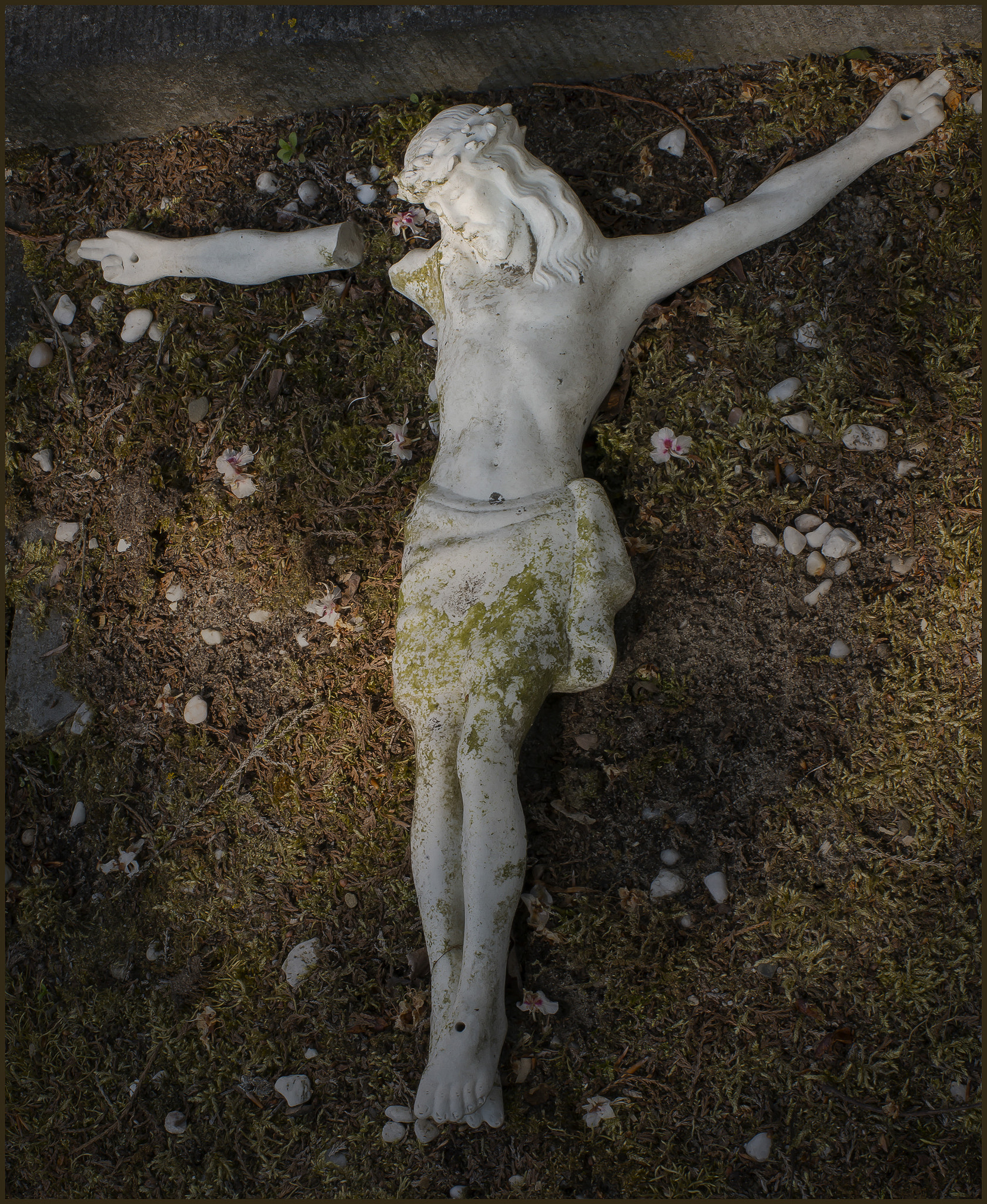 Nikon D800 sample photo. That is the direction.. photography
