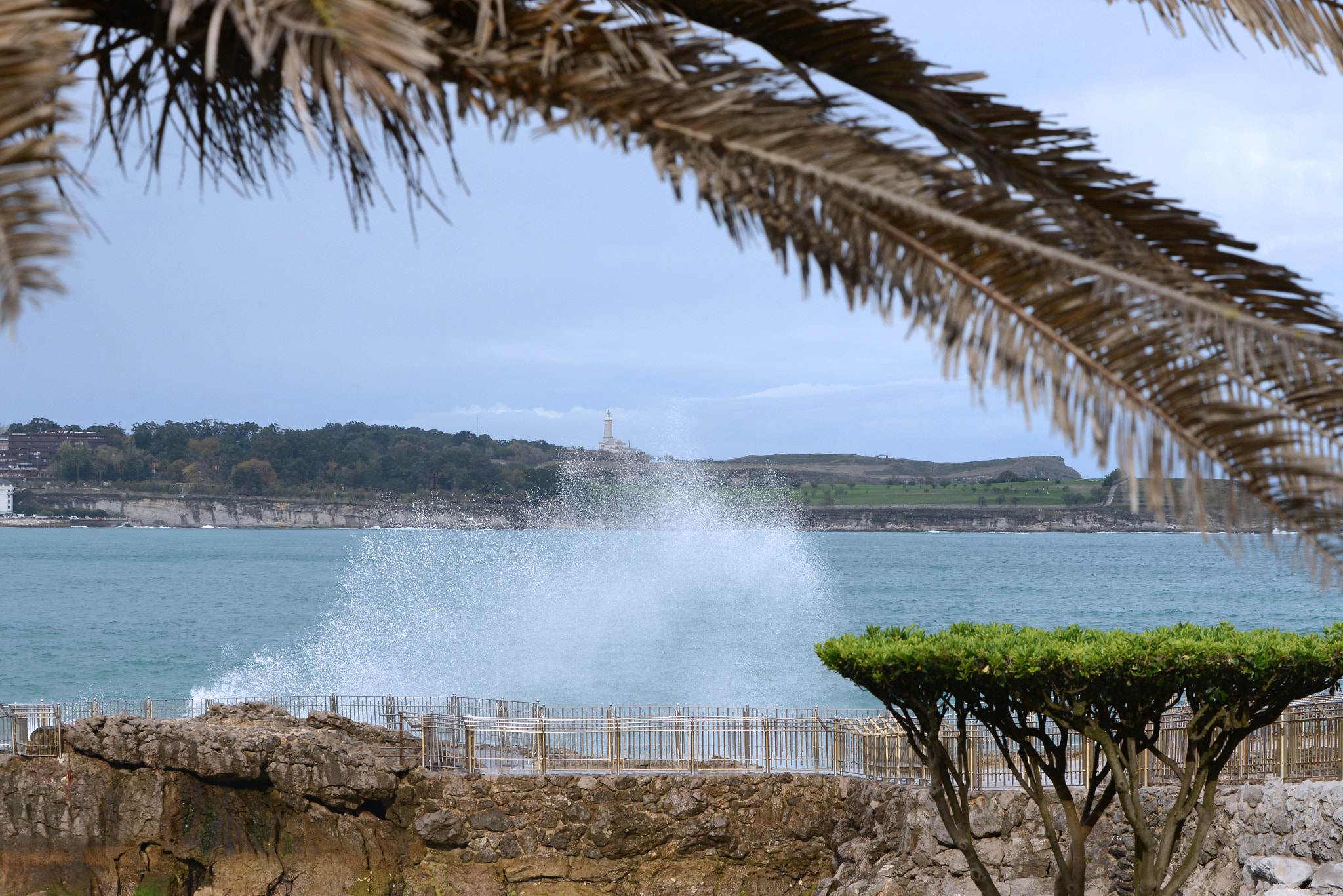 Nikon D600 sample photo. Splash ! photography
