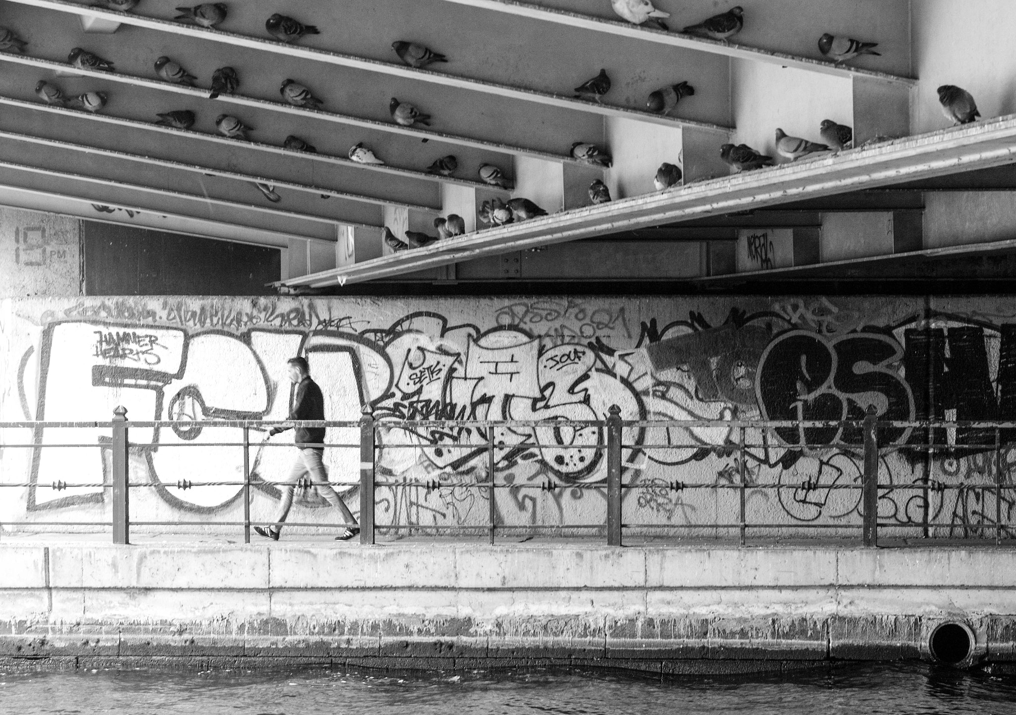 Leica M (Typ 262) sample photo. Under the bridge birds are watching us photography