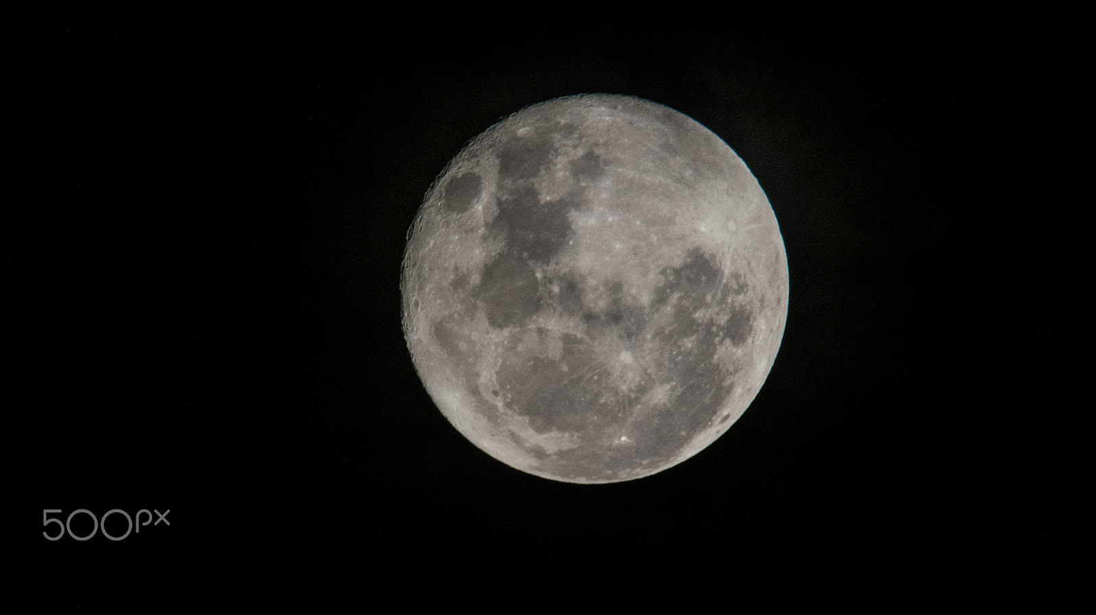 Nikon D7200 + Sigma 150-500mm F5-6.3 DG OS HSM sample photo. Moon over belmont photography