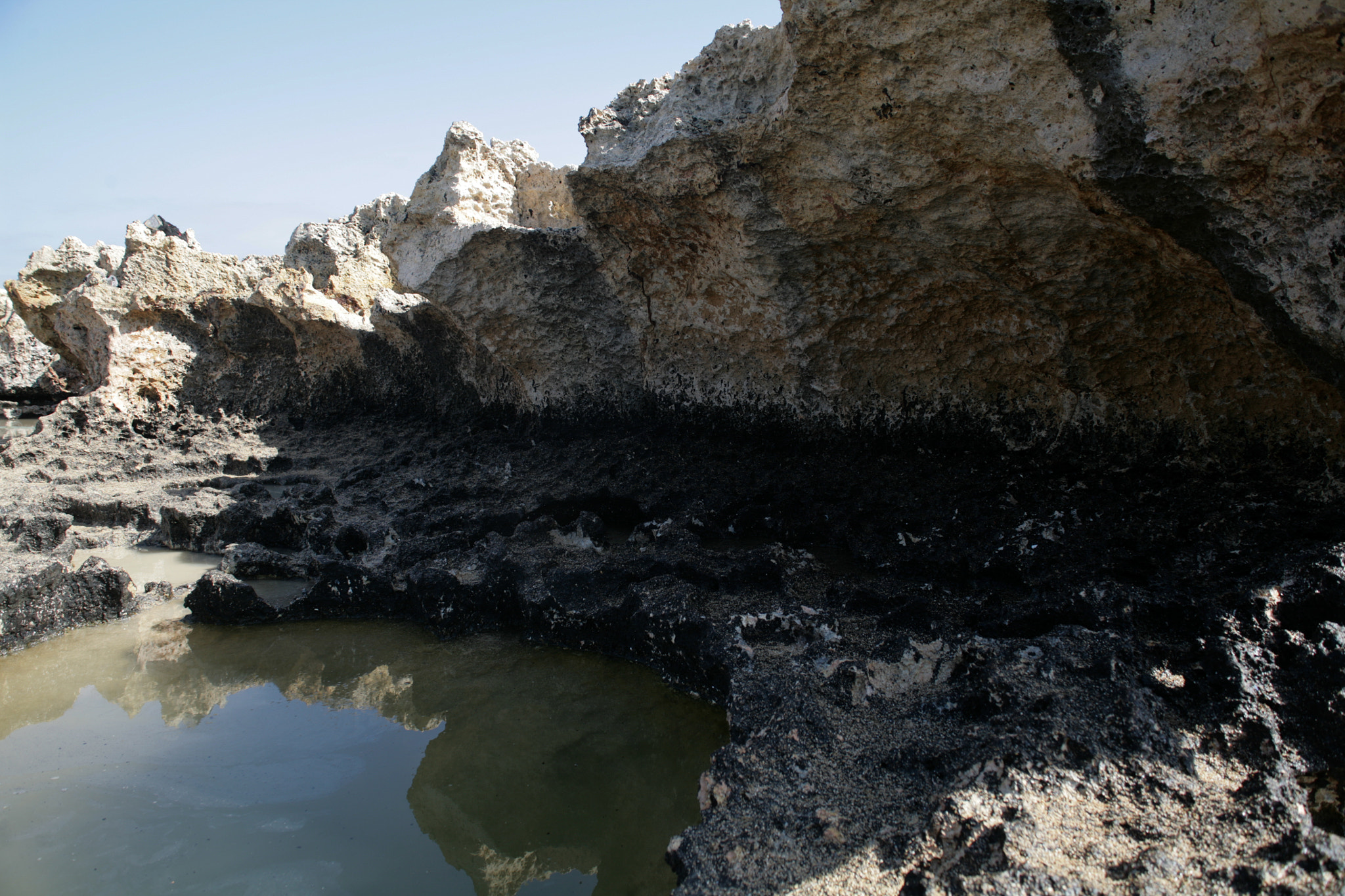 Canon EOS 5D + Sigma 24-70mm F2.8 EX DG Macro sample photo. Rabbit island cleanup photography