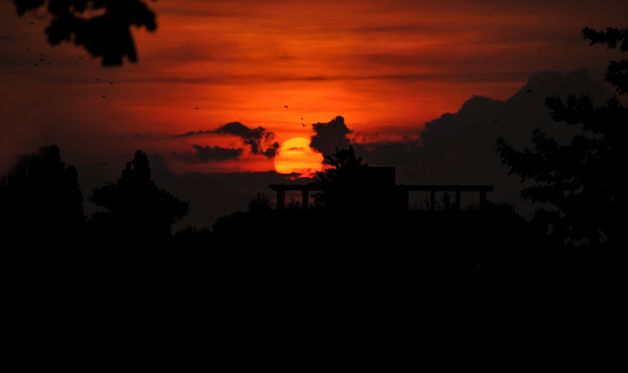 Nikon D300 sample photo. Fot photography