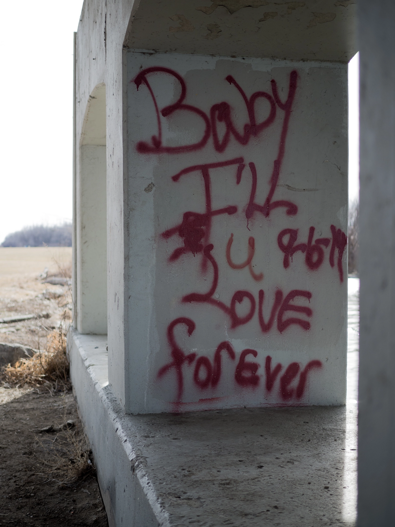 Olympus OM-D E-M10 II + Olympus M.Zuiko Digital 25mm F1.8 sample photo. Baby i'll love u forever 9-6-14 photography