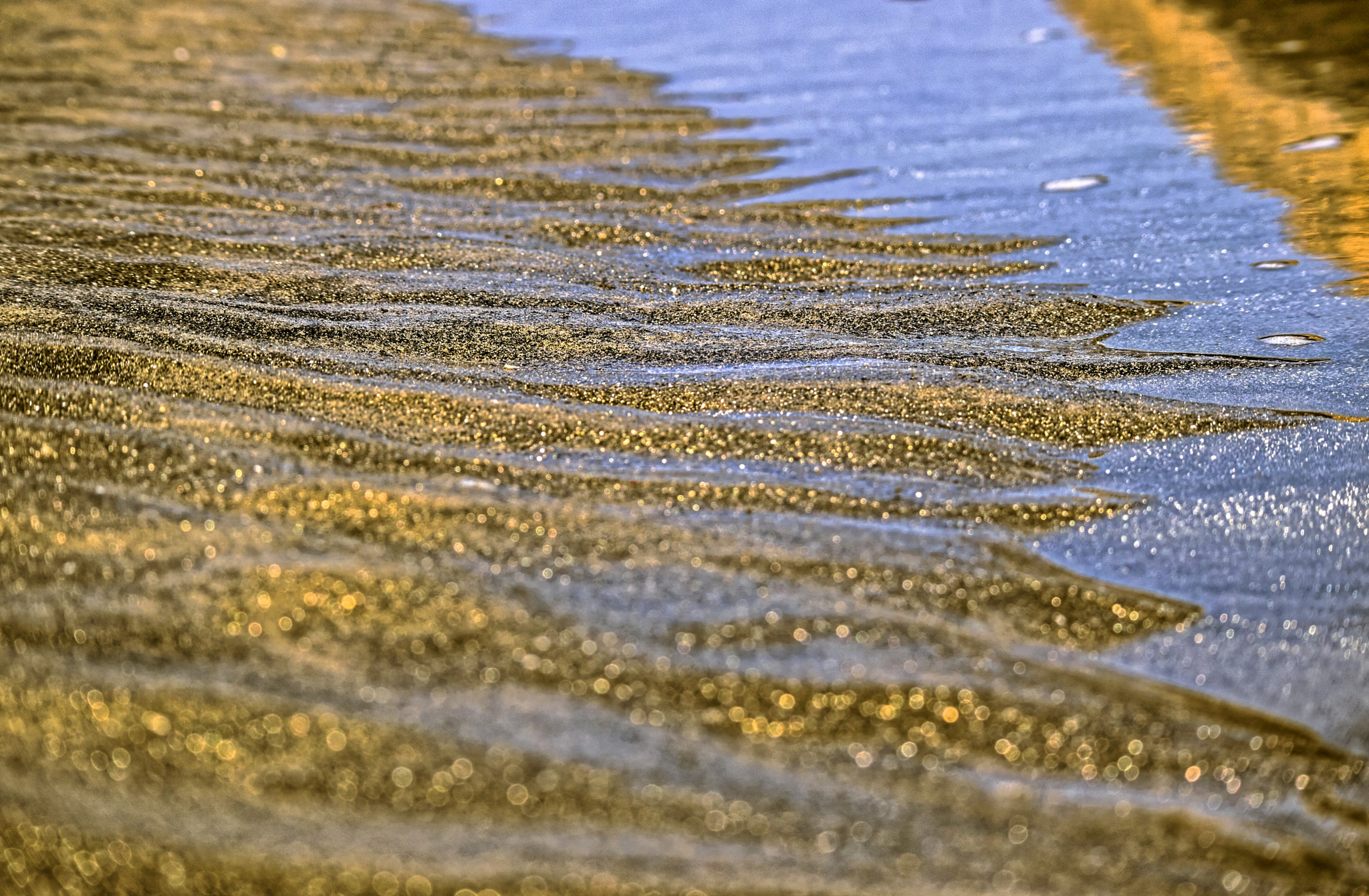 Canon EOS M3 sample photo. Golden dust of coronado island photography