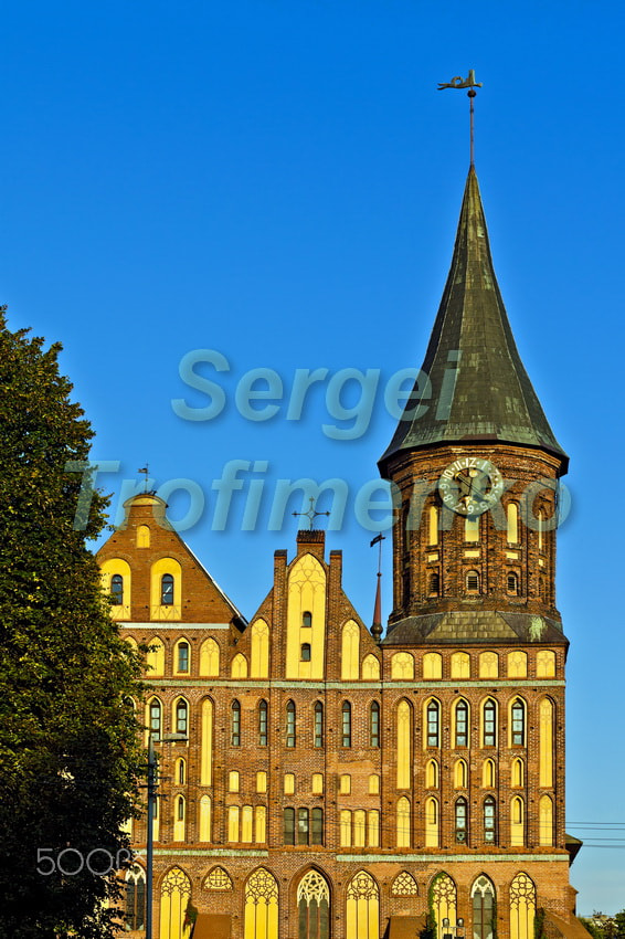 Nikon D5100 sample photo. Koenigsberg cathedral - gothic 14th century. kaliningrad (until photography