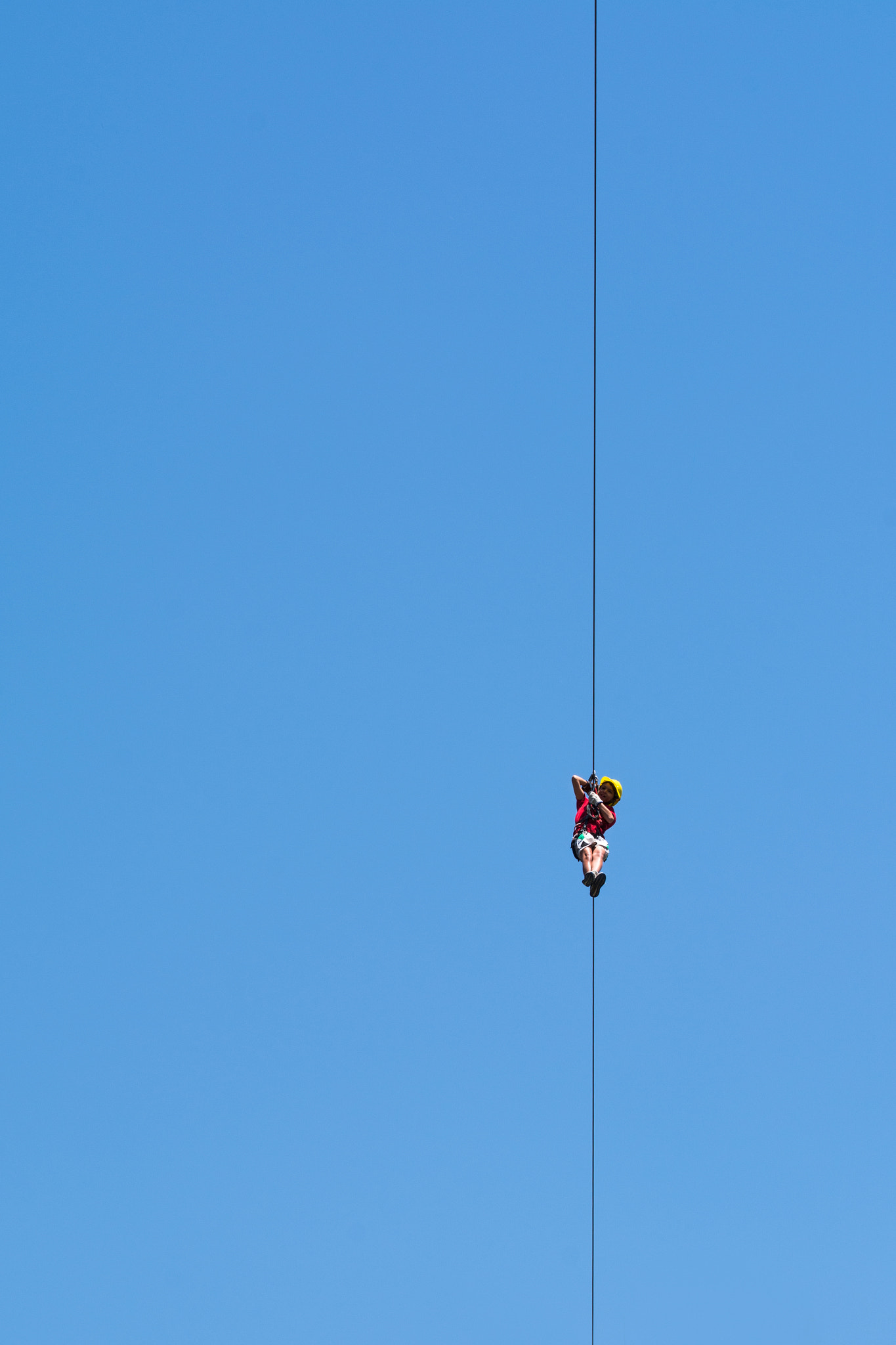 Sigma 105mm F2.8 EX DG OS HSM sample photo. Up.jpg photography