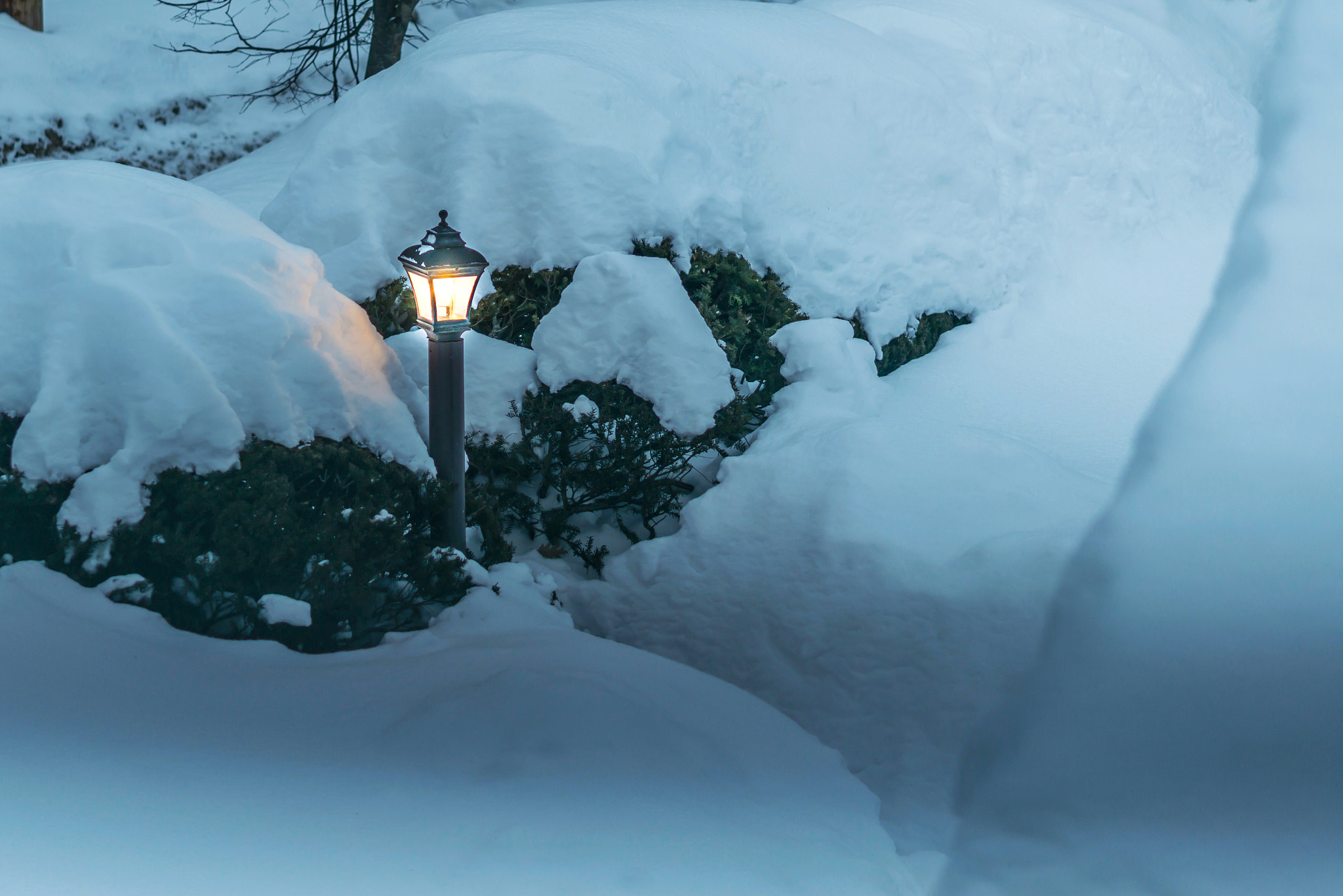 Nikon AF-S Micro-Nikkor 105mm F2.8G IF-ED VR sample photo. Please bring spring back. photography