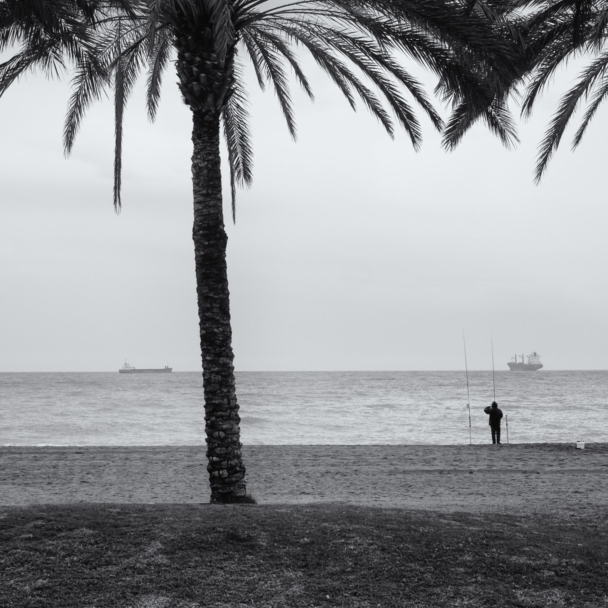 Fujifilm X-E2 + Fujifilm XF 35mm F1.4 R sample photo. Malagueta etude photography