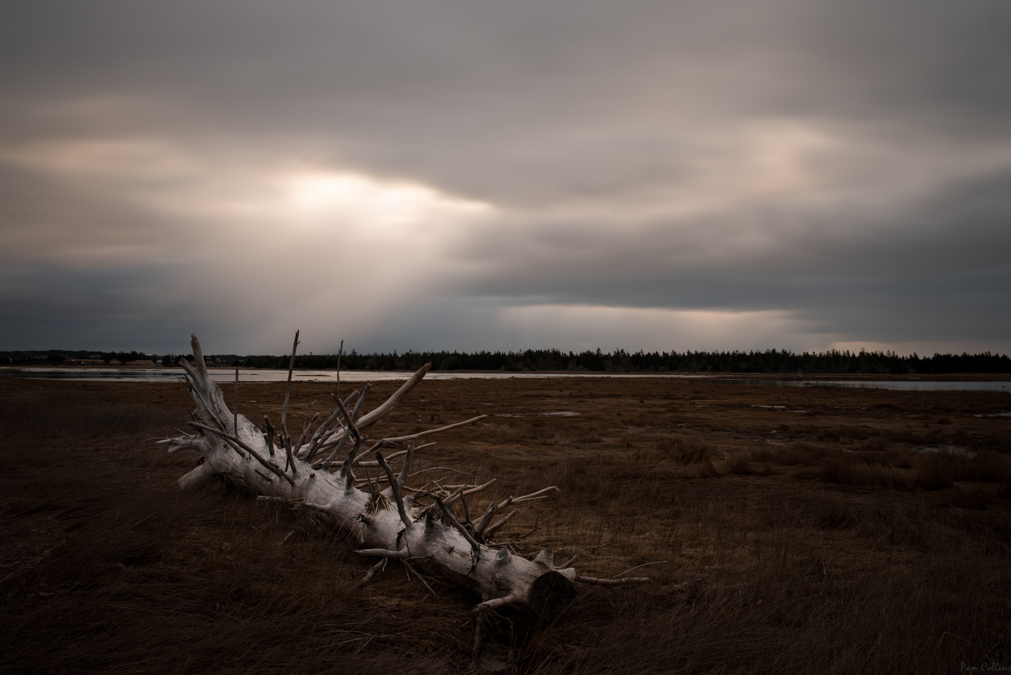 Nikon D750 + Nikon AF-S Nikkor 35mm F1.8G ED sample photo. No sunrise, but still photography