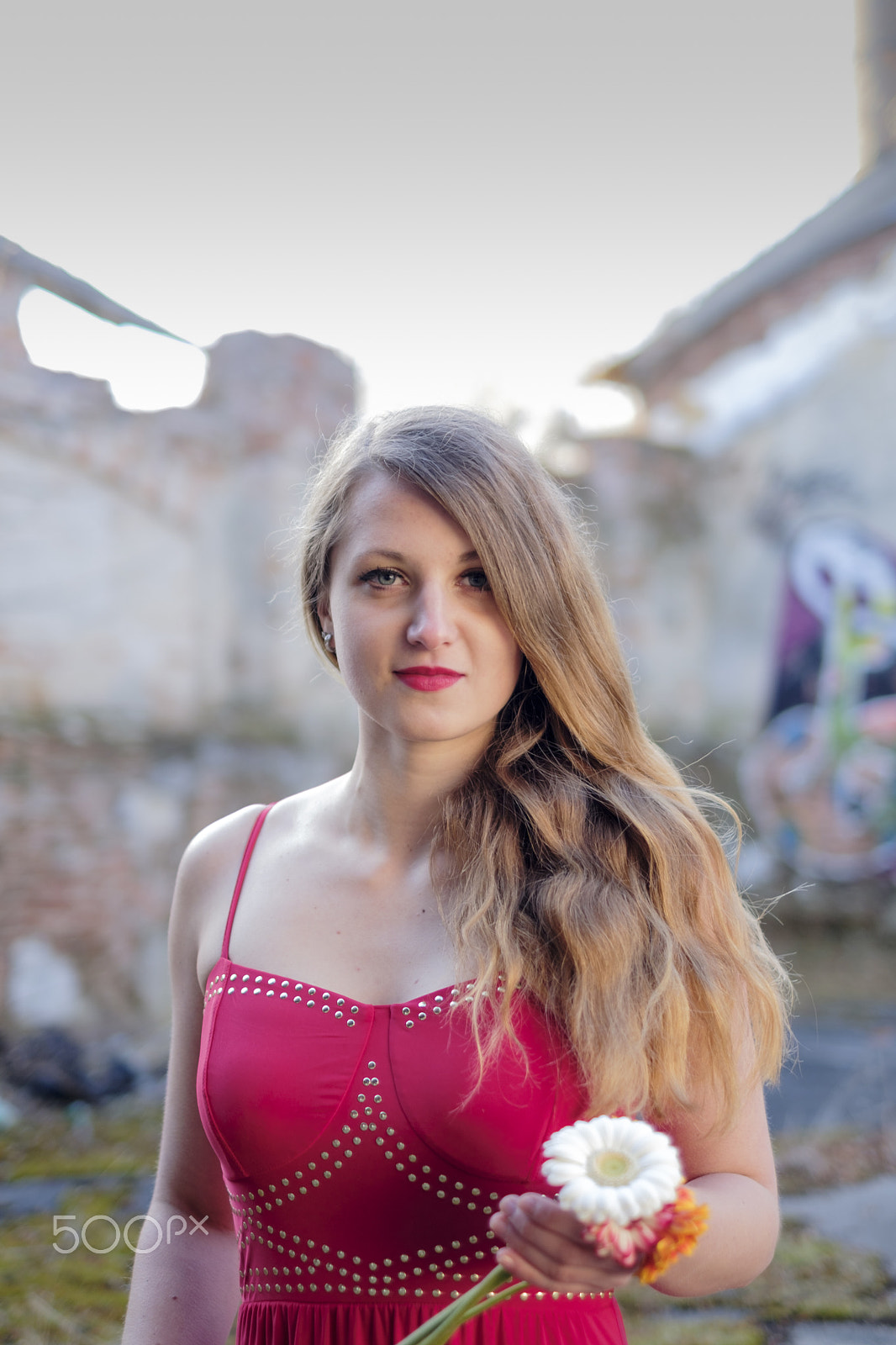 Fujifilm X-T2 + Fujifilm XF 35mm F1.4 R sample photo. Jířa photography