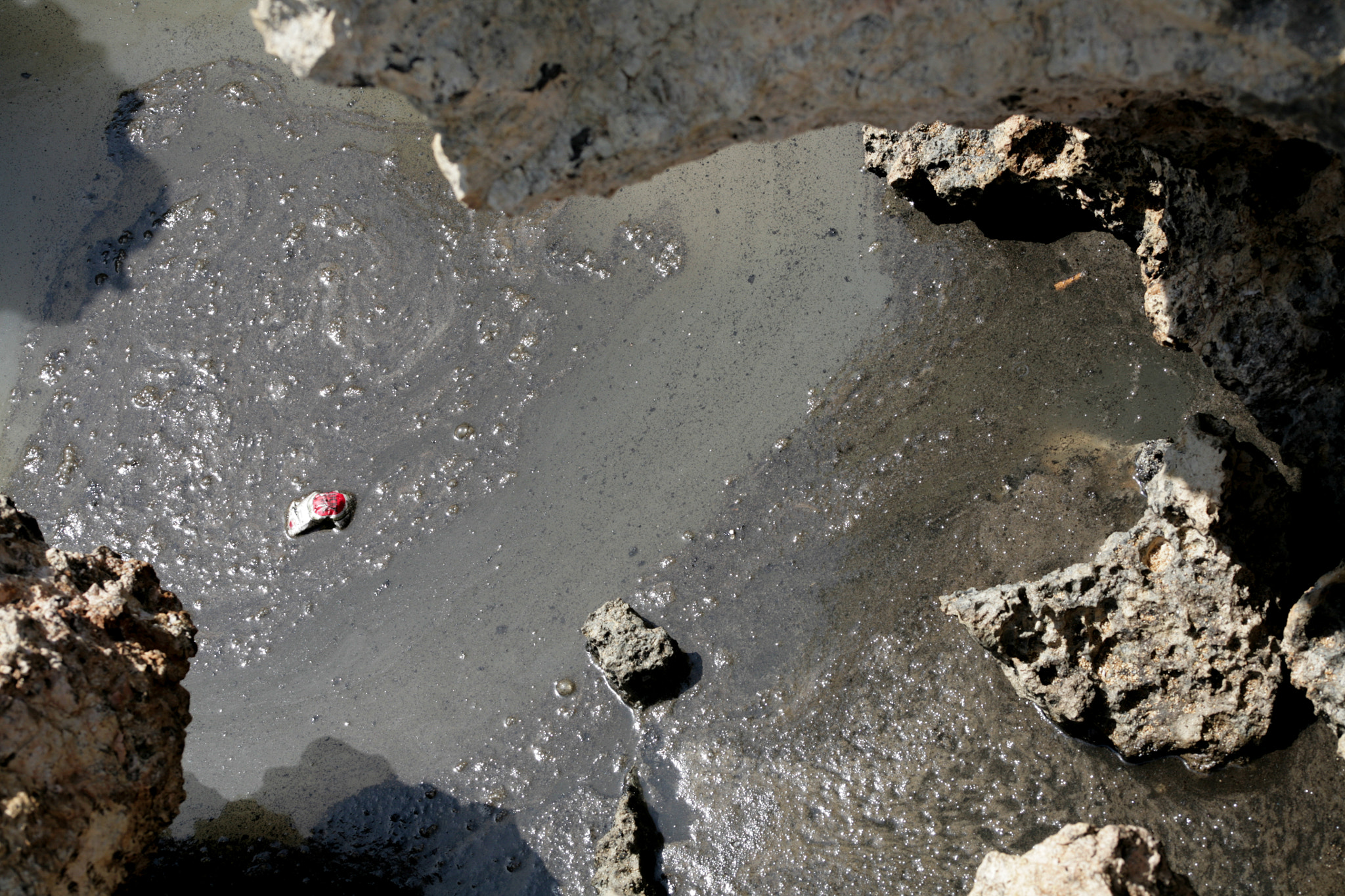 Canon EF 75-300mm f/4-5.6 USM sample photo. Rabbit island cleanup photography