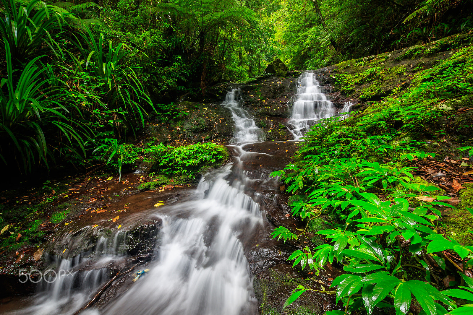 Canon EOS 7D Mark II sample photo. Rainforest flow (landscape) photography