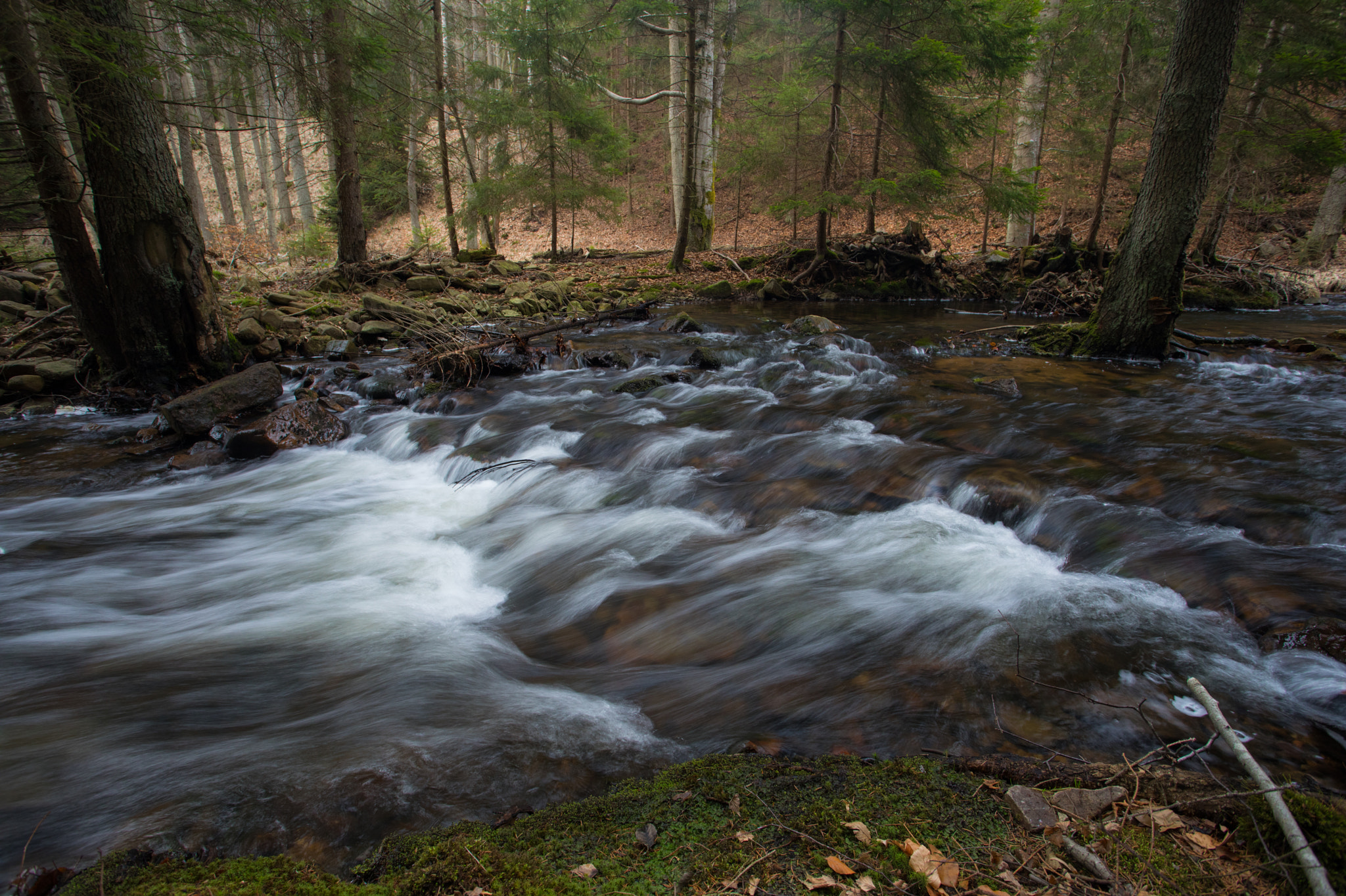 Canon EF 17-40mm F4L USM sample photo. River photography