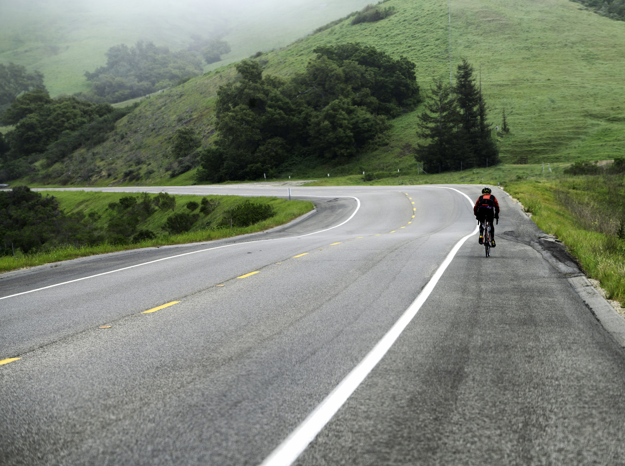 Sony a7R II + Sony FE 70-200mm F4 G OSS sample photo. On the road photography