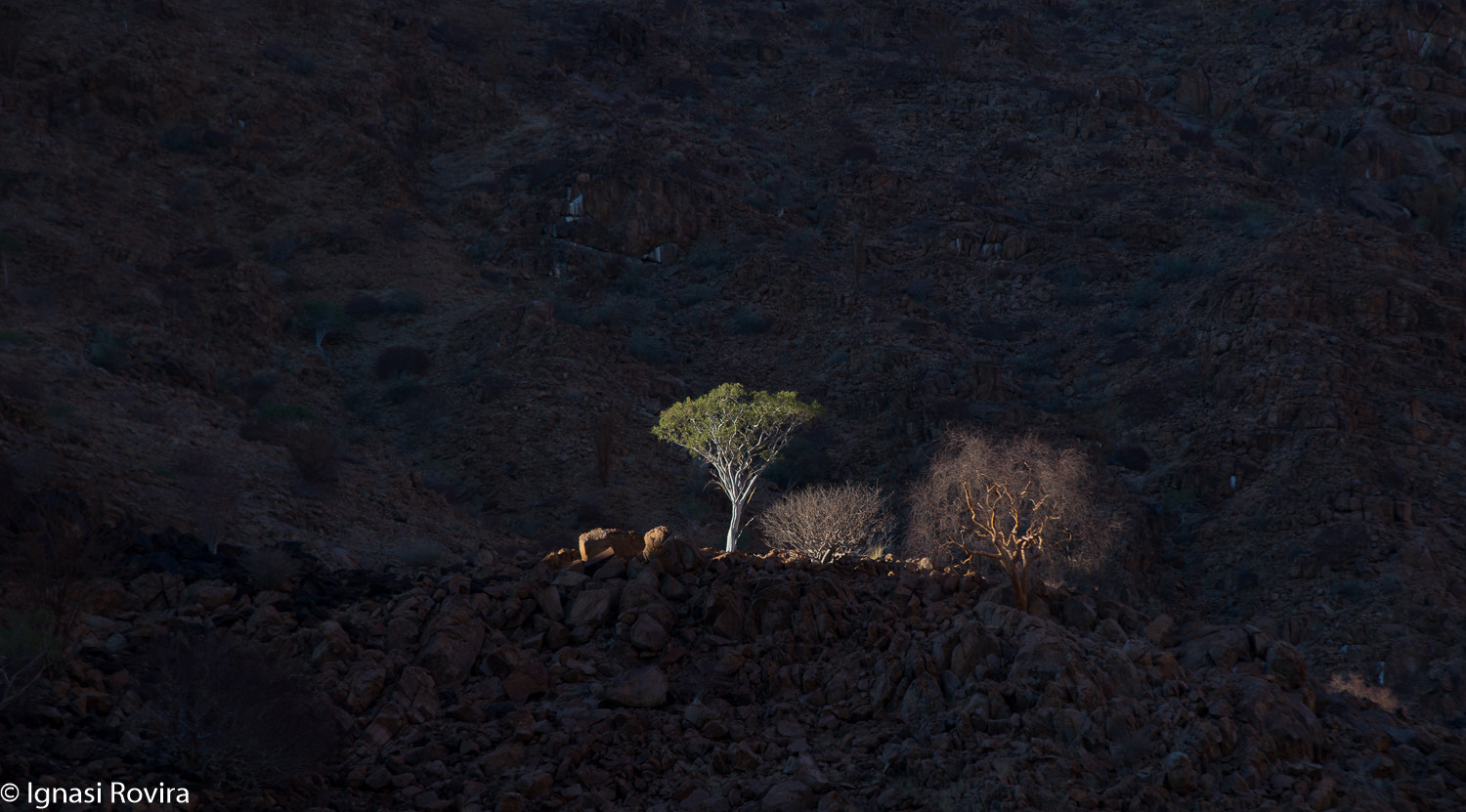 Nikon D600 sample photo. Brandberg, namíbia photography