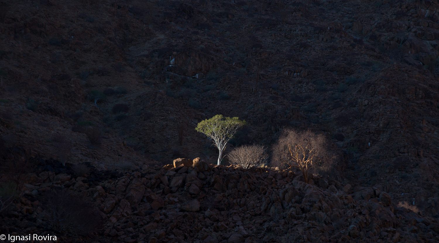 Nikon AF-S Nikkor 24-120mm F4G ED VR sample photo. Brandberg, namíbia photography