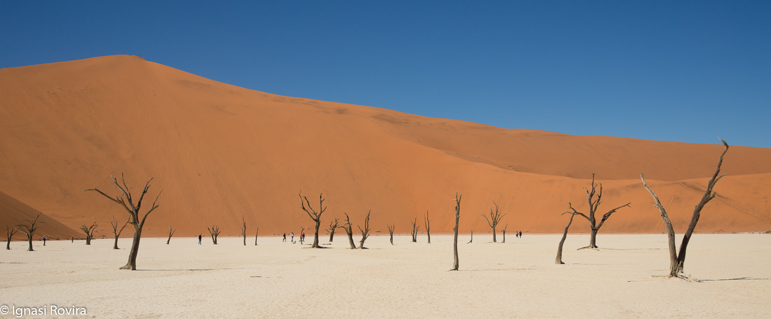 Nikon AF-S Nikkor 24-120mm F4G ED VR sample photo. Dead-vlei, namib-naukluft park, namíbia photography