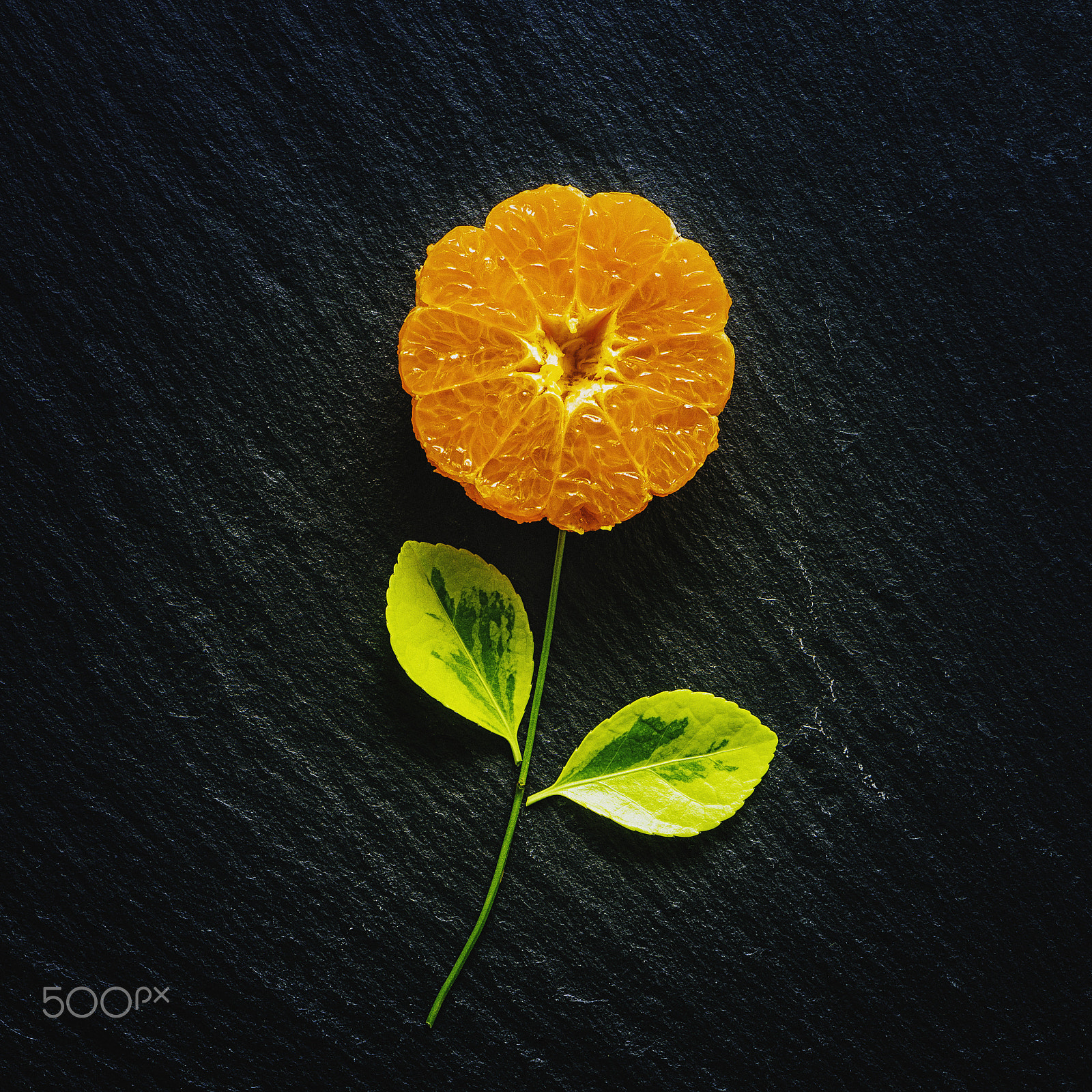 Nikon AF-S Micro-Nikkor 105mm F2.8G IF-ED VR sample photo. Healthy flower photography
