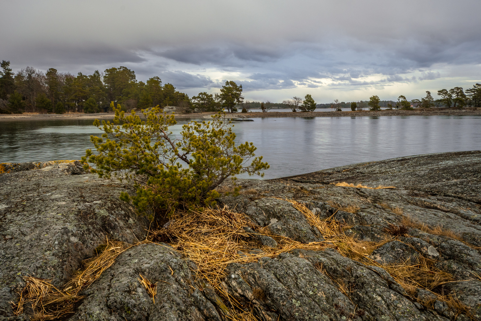 Nikon D500 sample photo. 32671623634.jpg photography