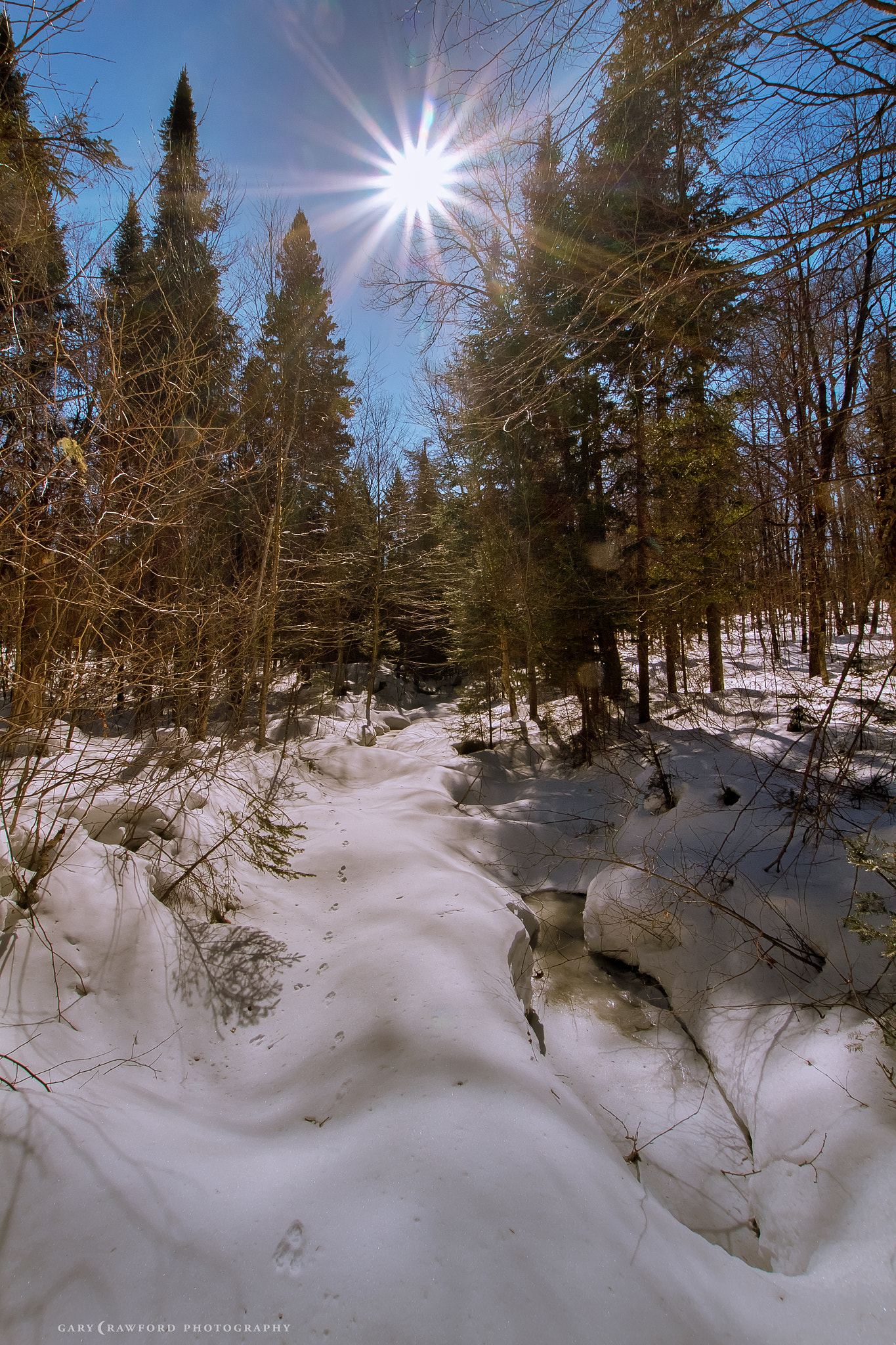 Sigma 10-20mm F3.5 EX DC HSM sample photo. Mizzy photography