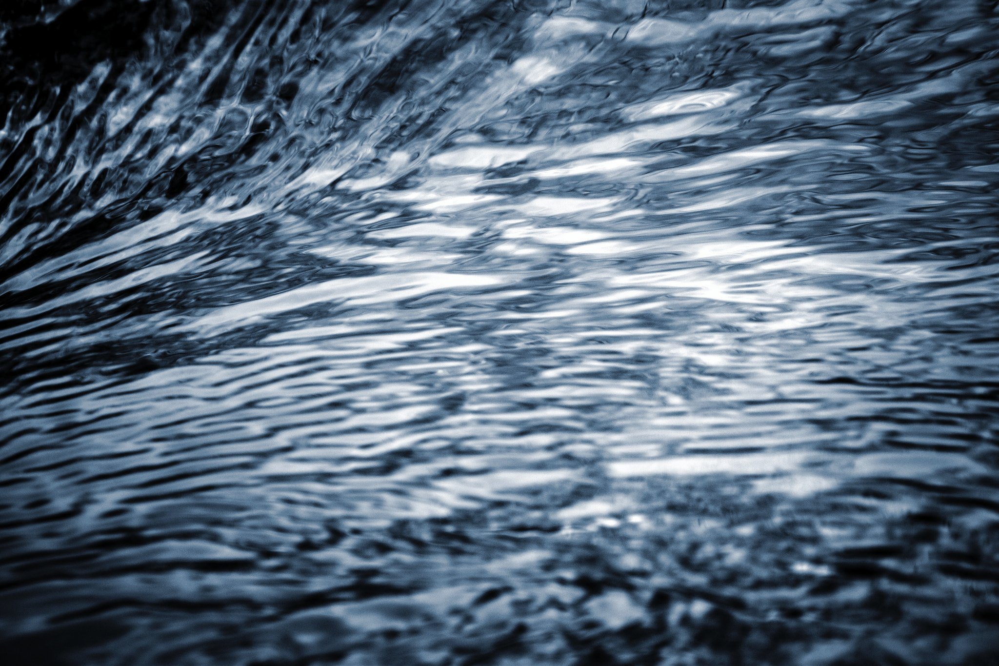 Nikon D5500 sample photo. Wavelet close up of photography