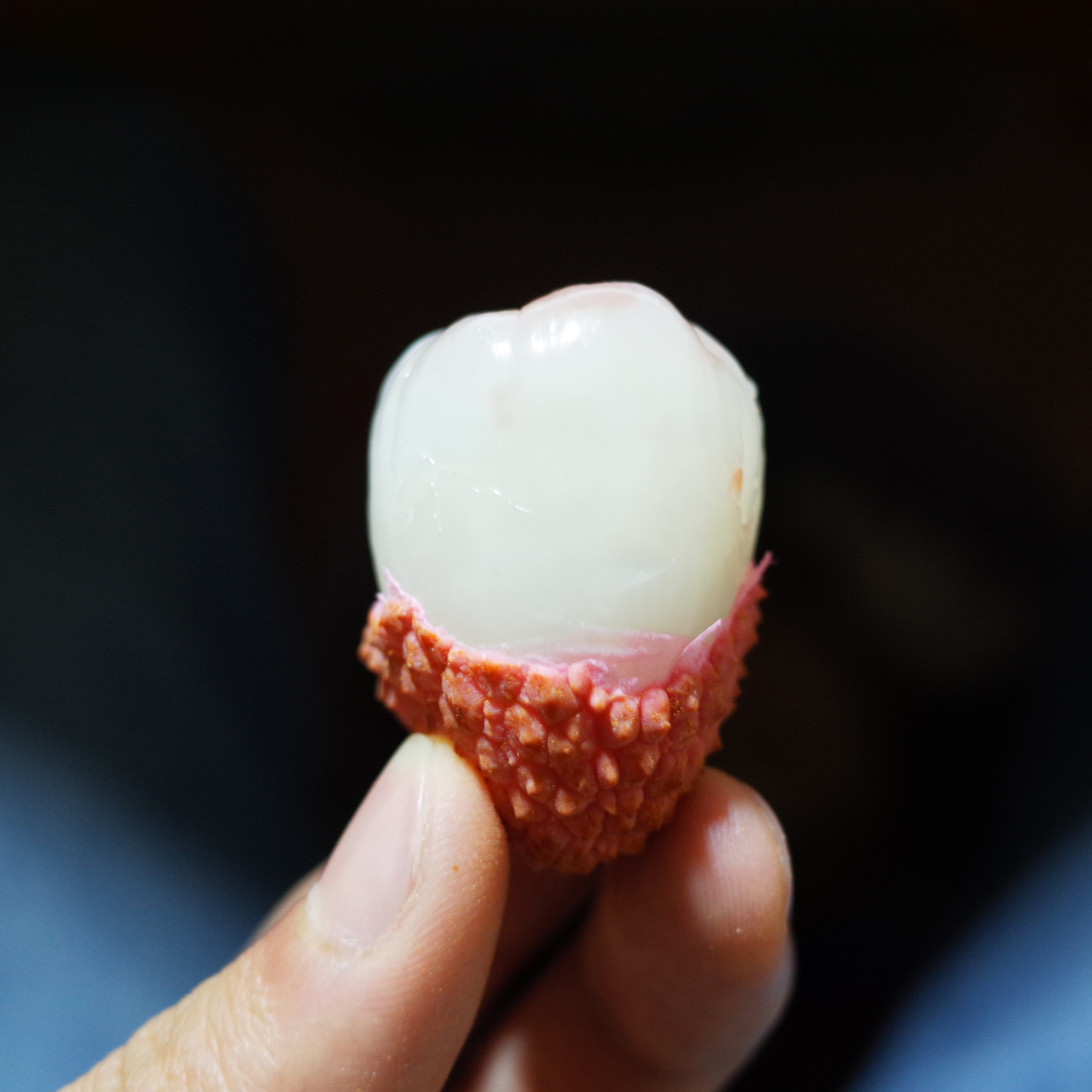 Ricoh GR + GR Lens sample photo